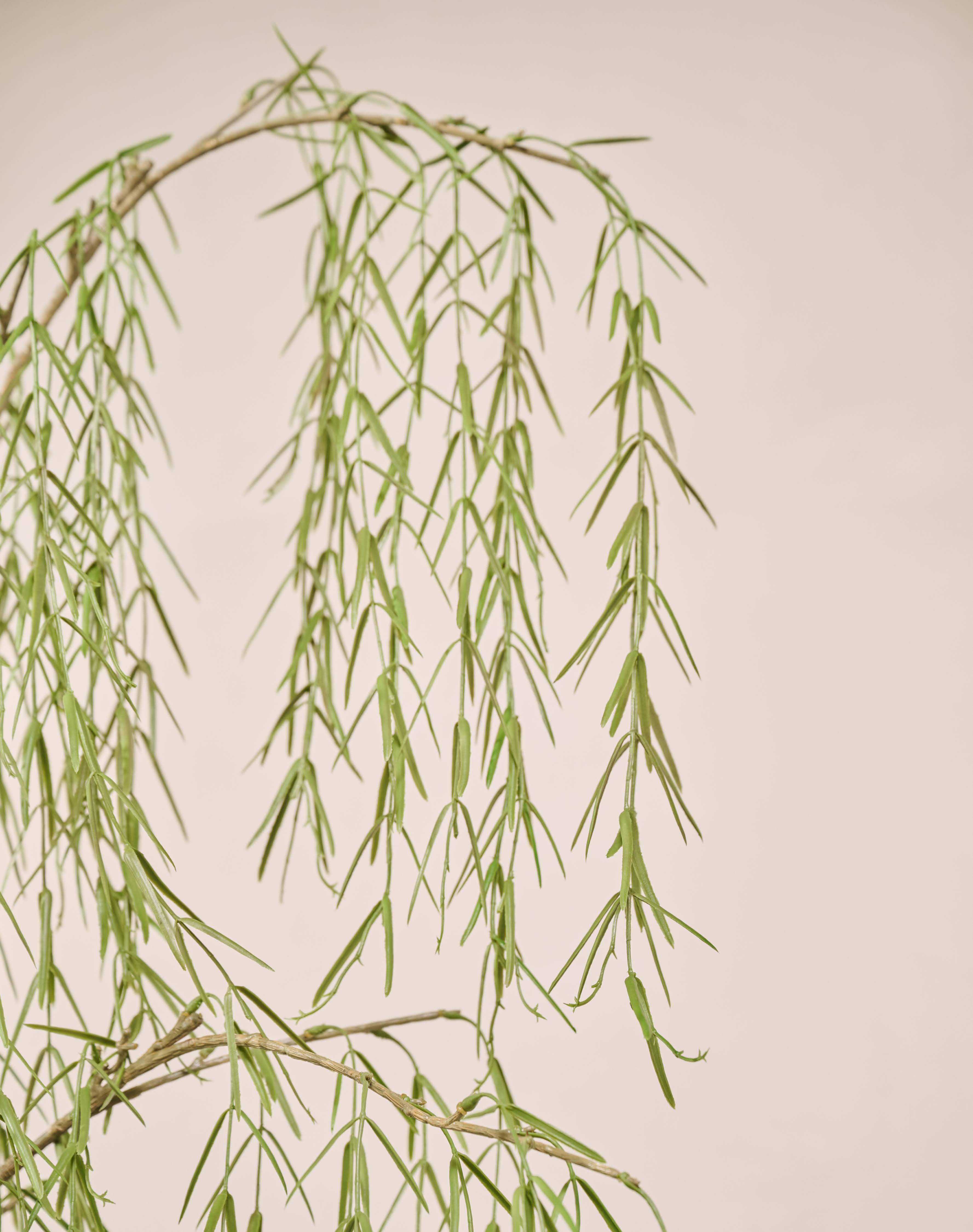 Kunstplant Wilg | 187 cm