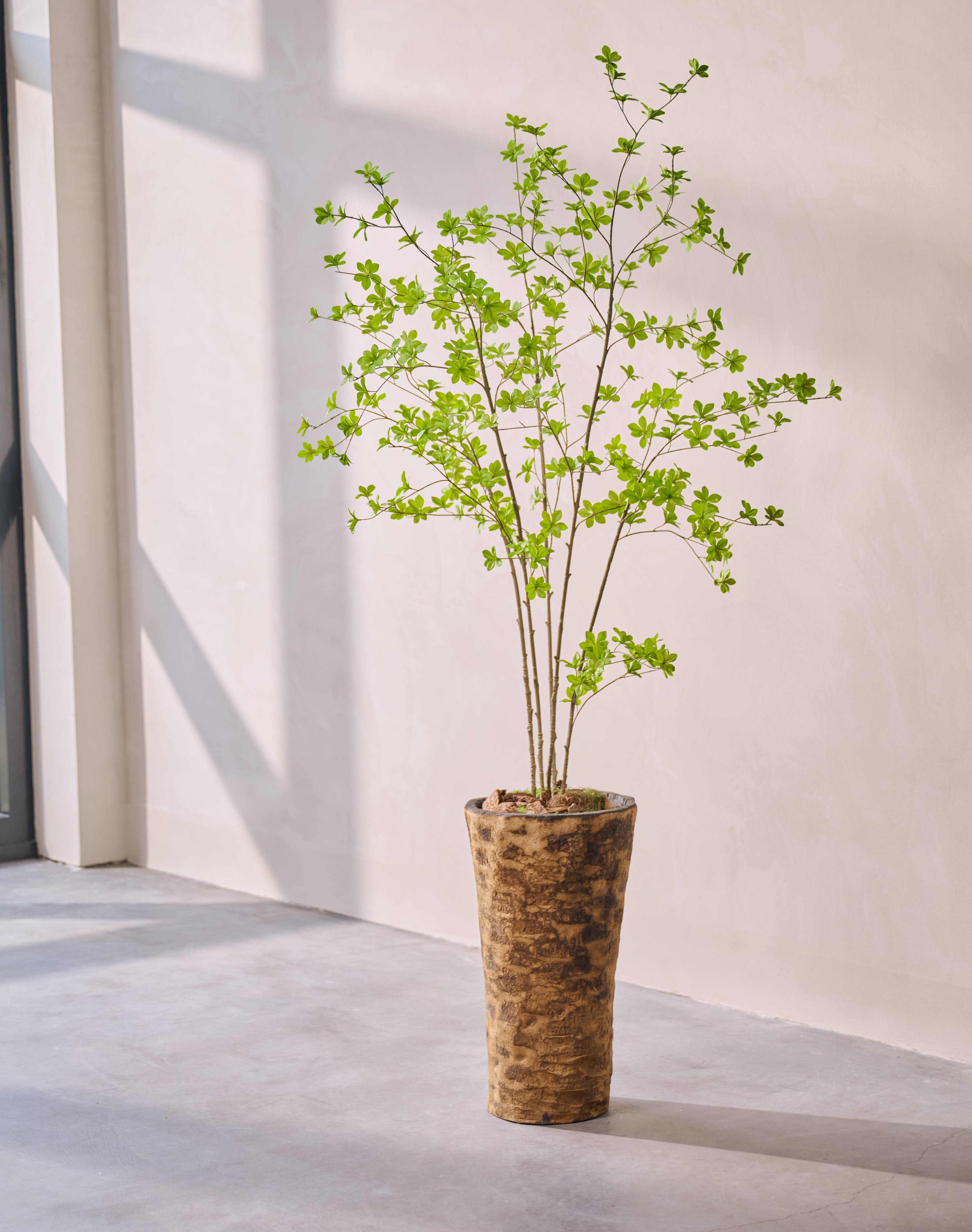 Plant Groen | 180 cm