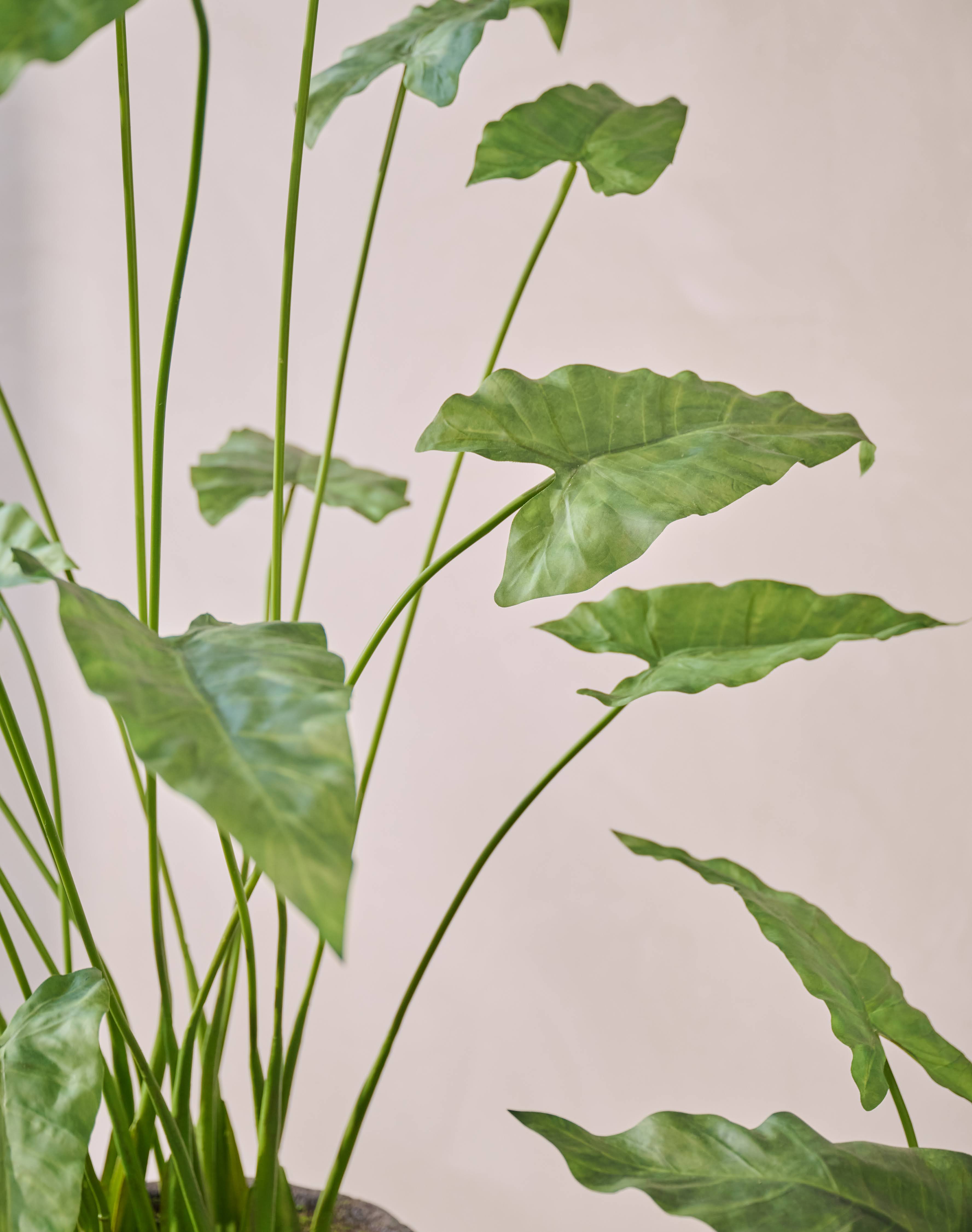 Kunstplant Anthurium | 133 cm