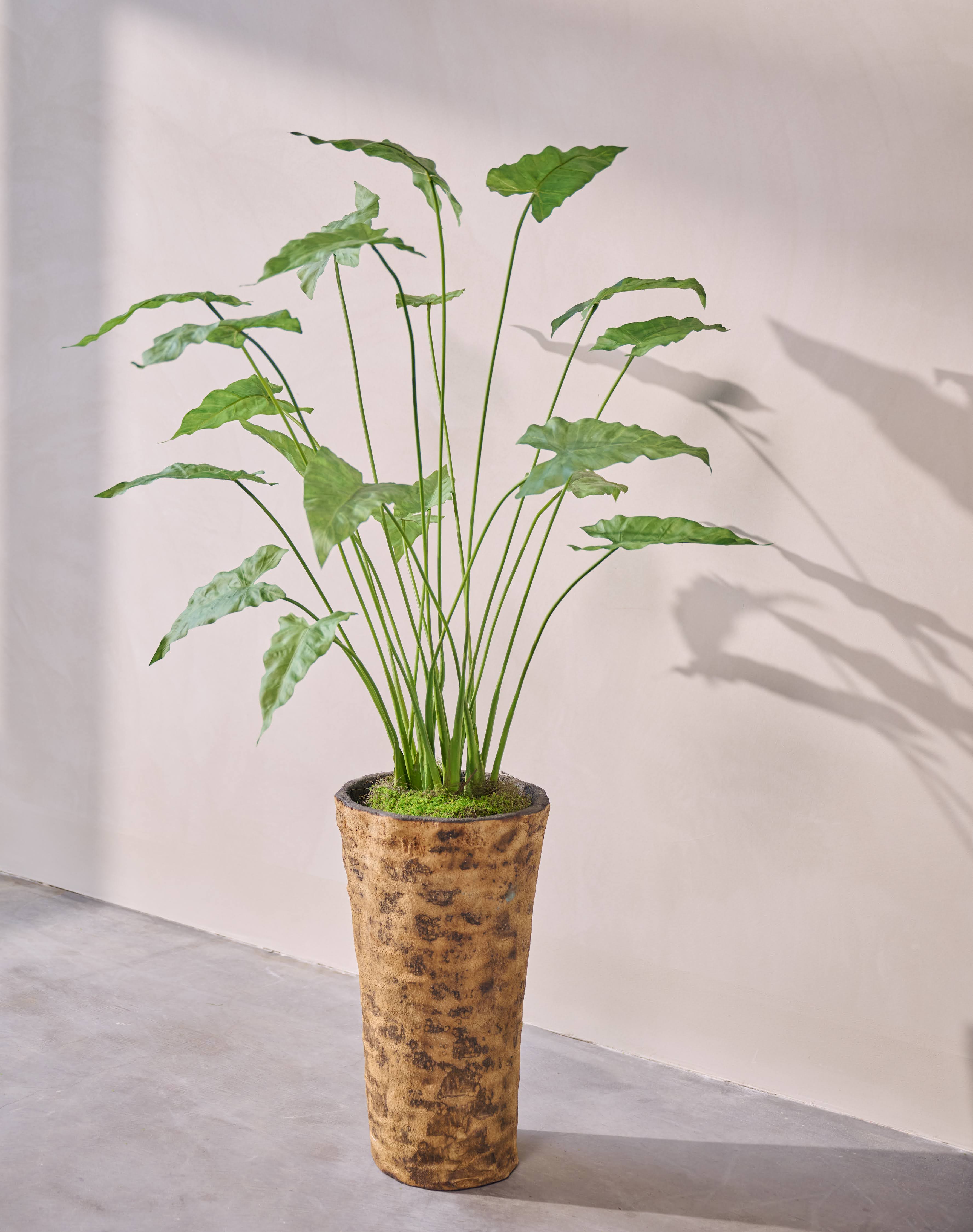 Kunstplant Anthurium | 133 cm