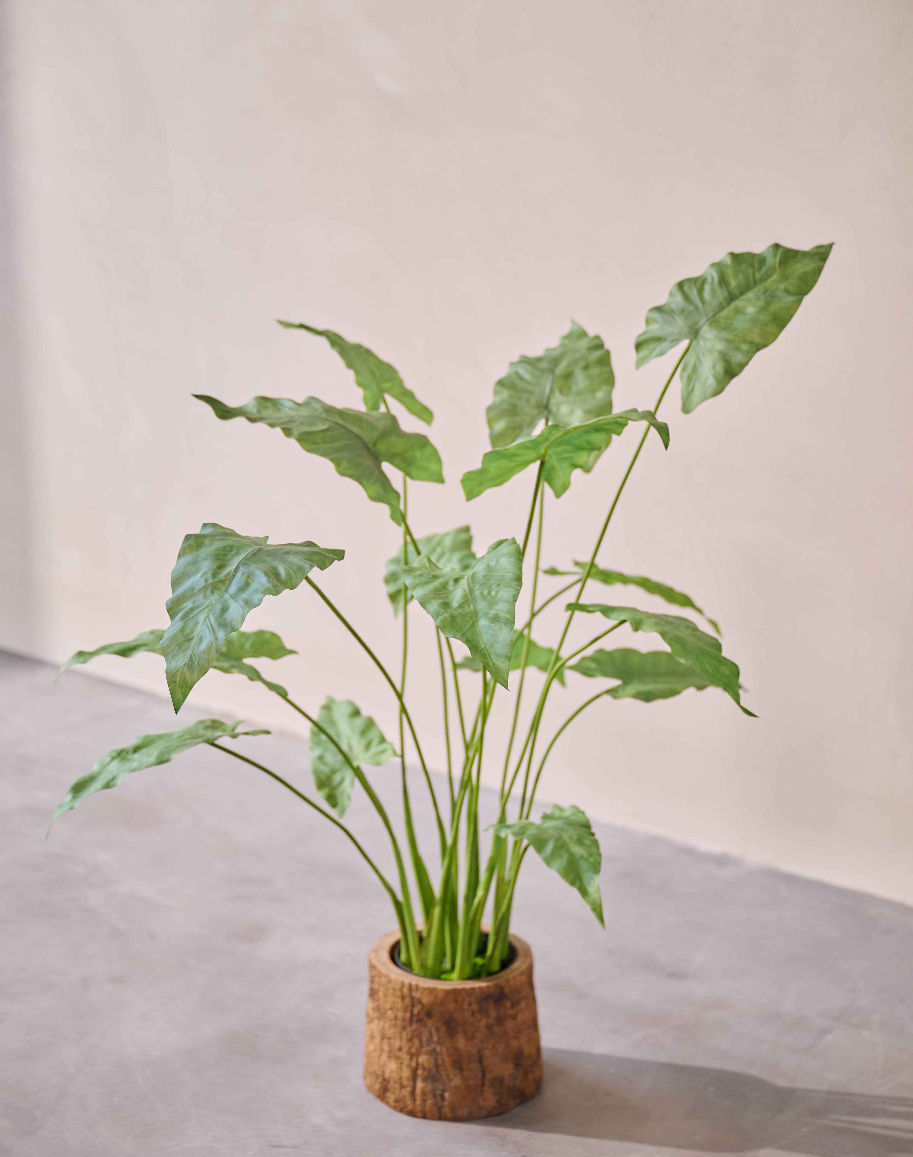 Kunstplant Anthurium | 109 cm