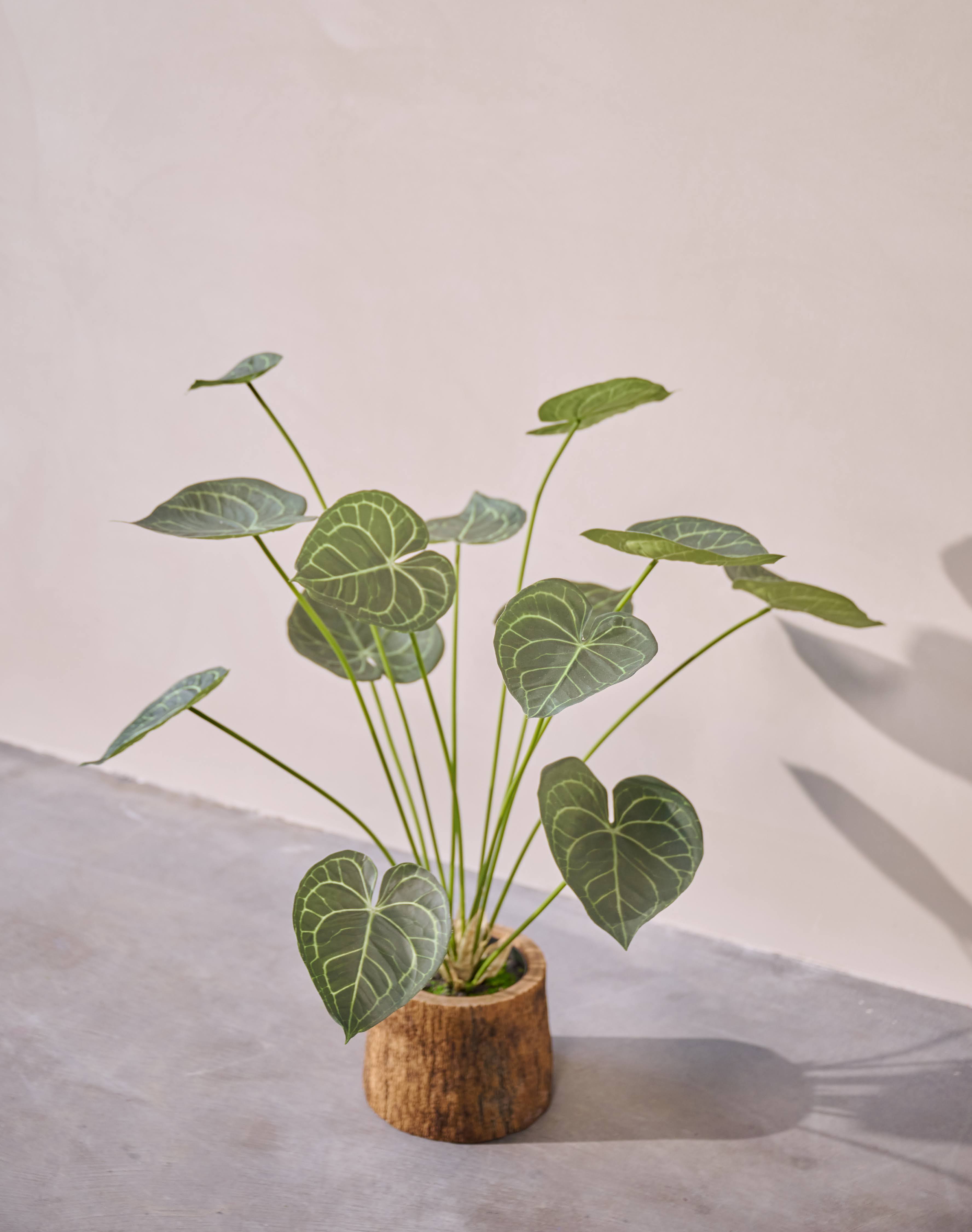 Kunstplant Anthurium | 98 cm