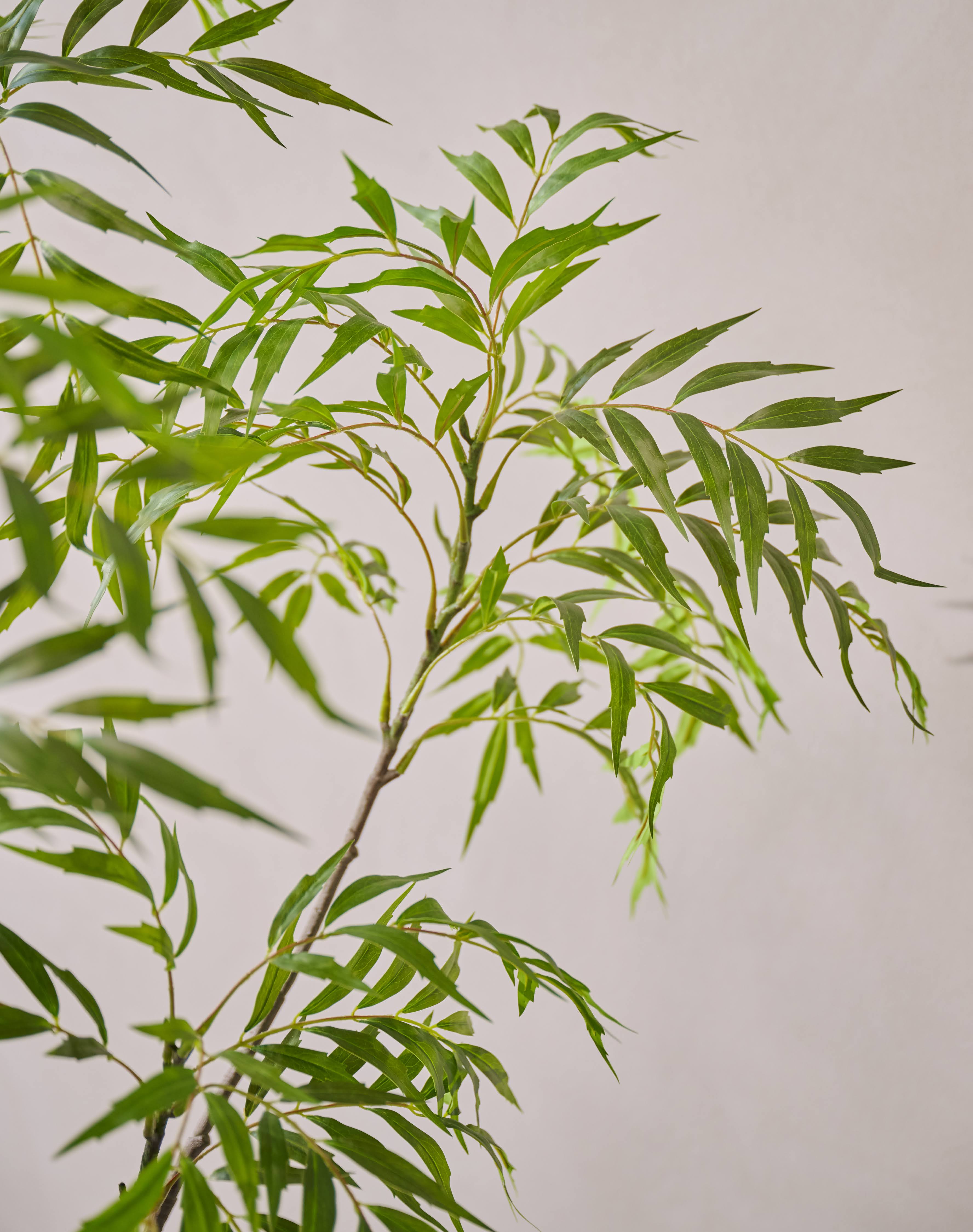 Kunstplant Wilg | 150 cm