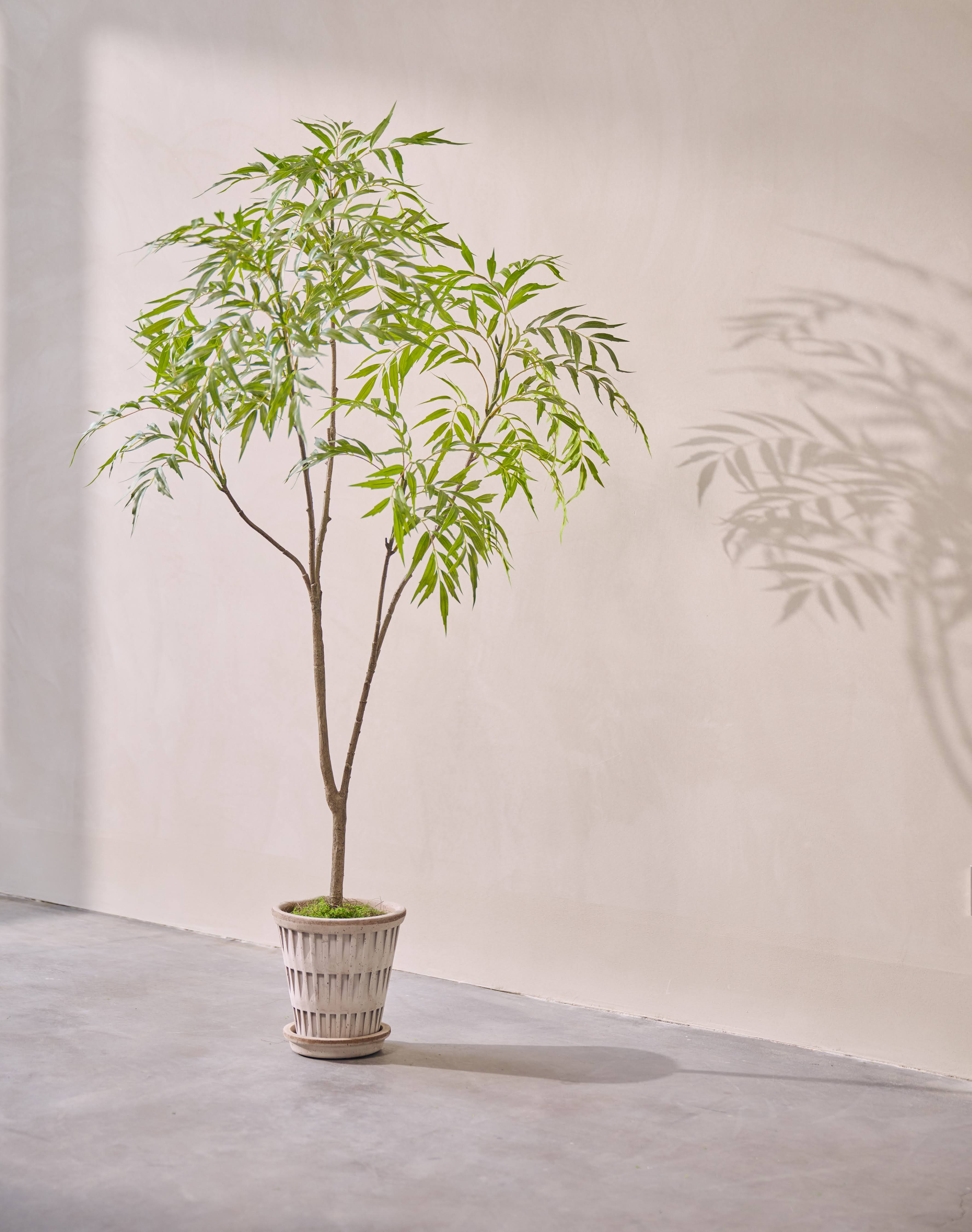 Kunstplant Wilg | 150 cm