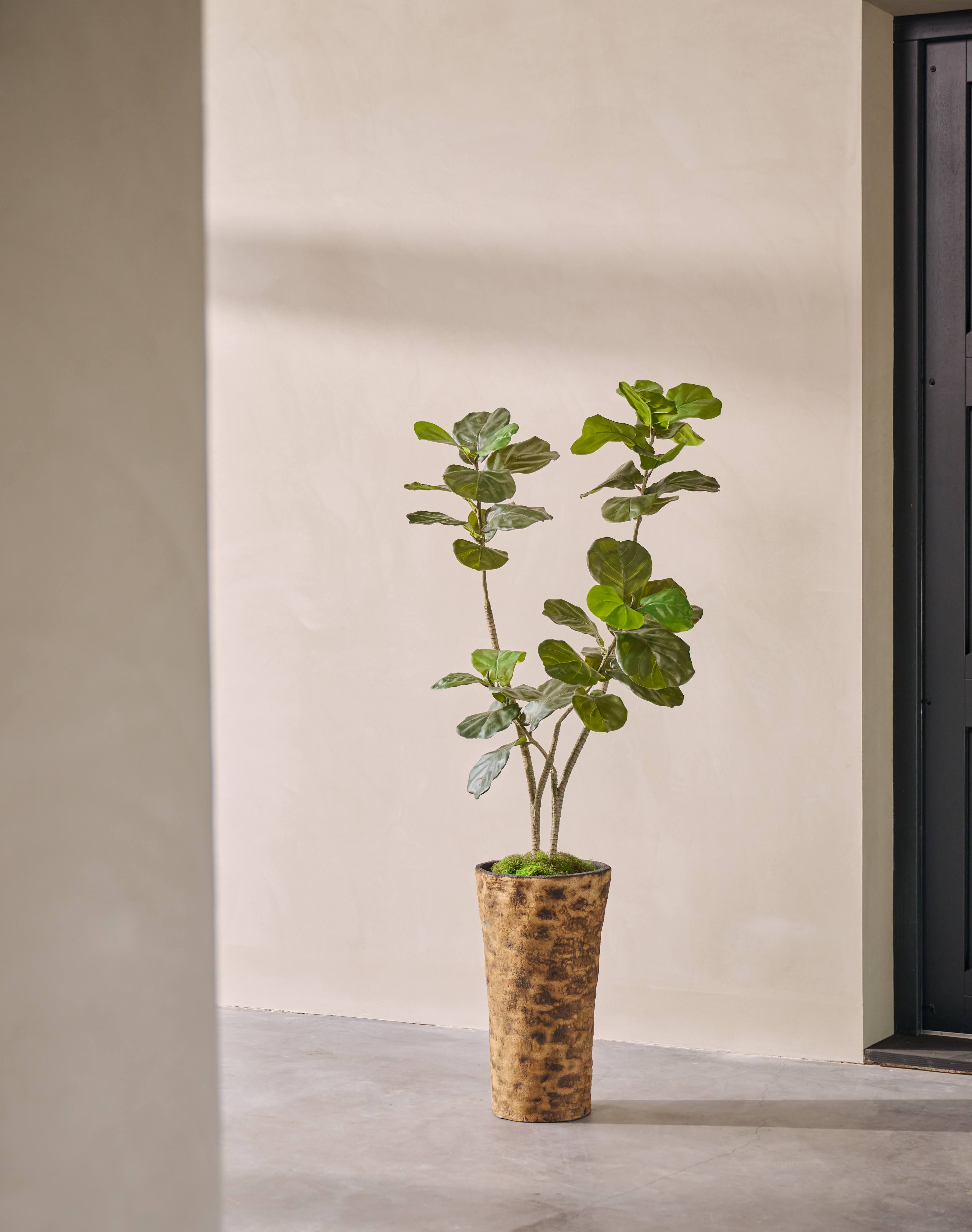 Kunstplant Ficus | 150 cm