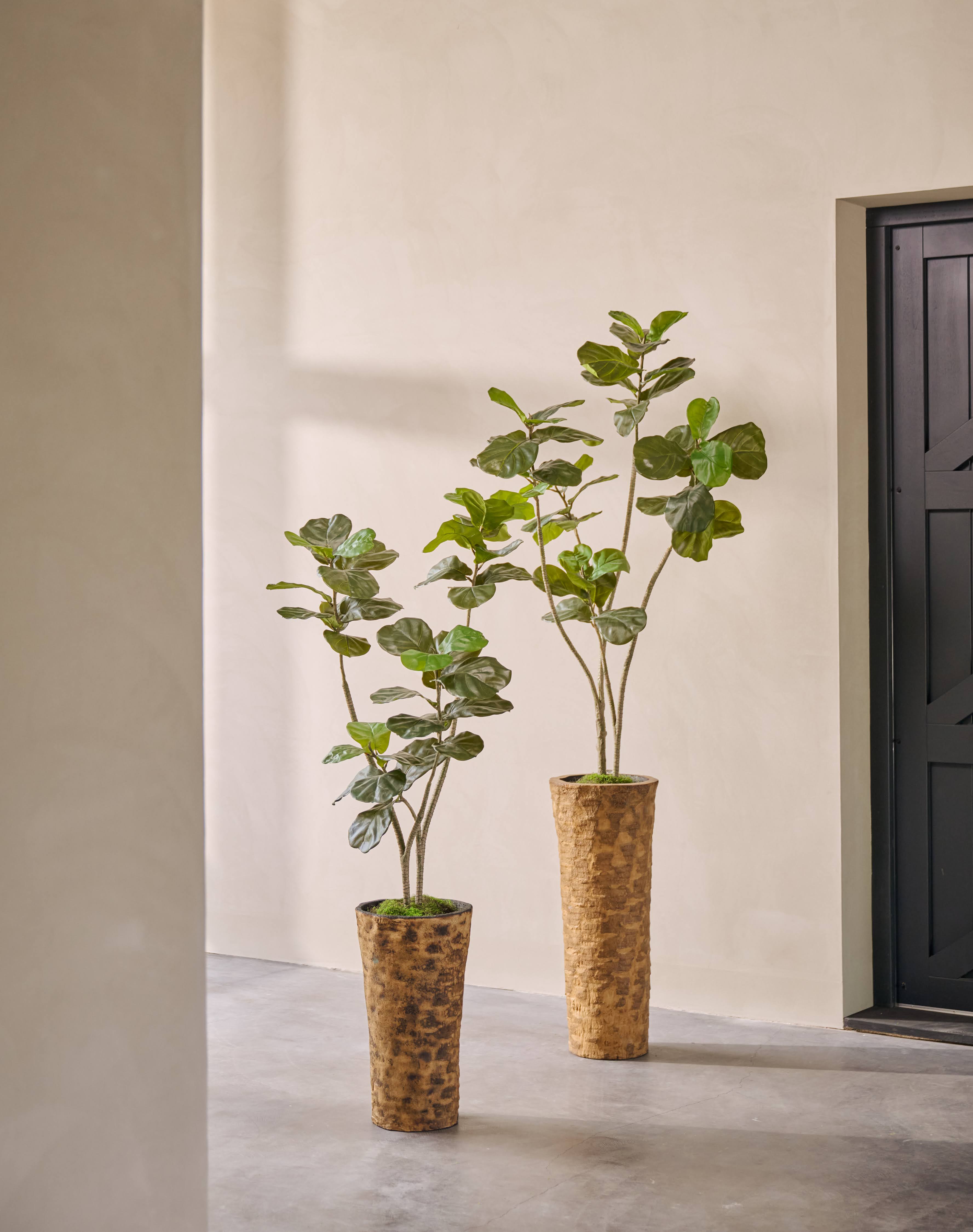 Kunstplant Ficus | 150 cm