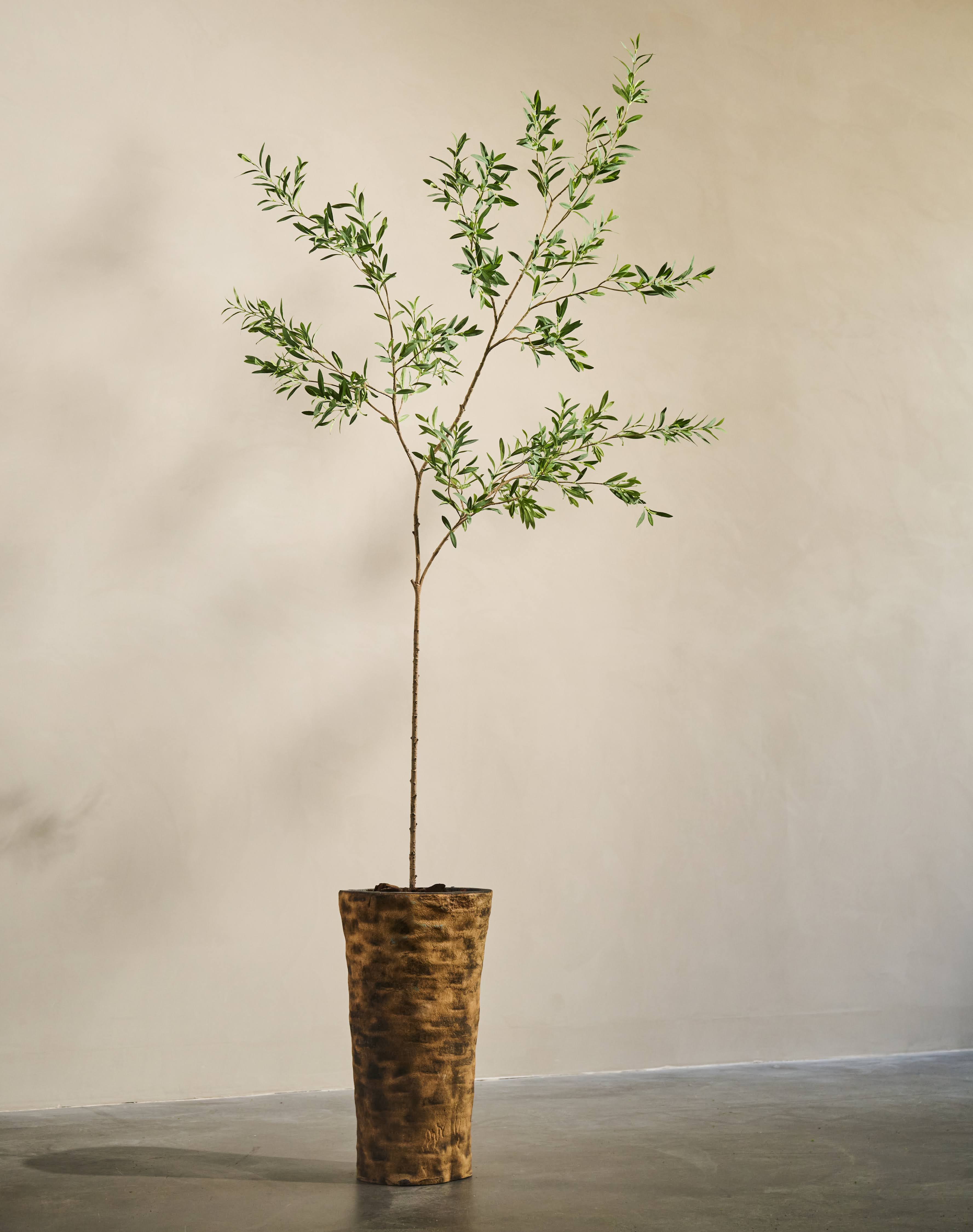 Kunst Olijfboom | 234 cm