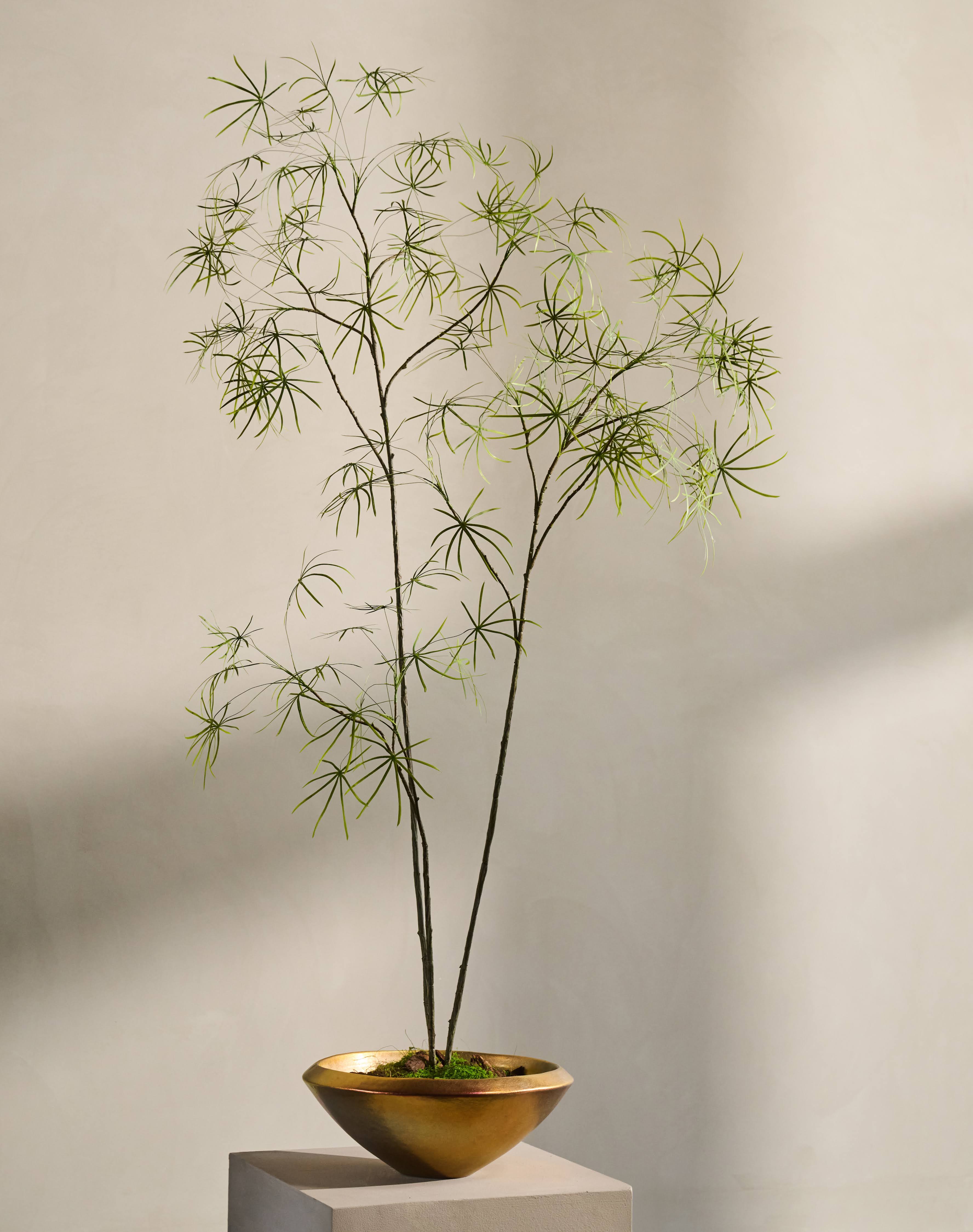 Kunstplant Schefflera | 223 cm