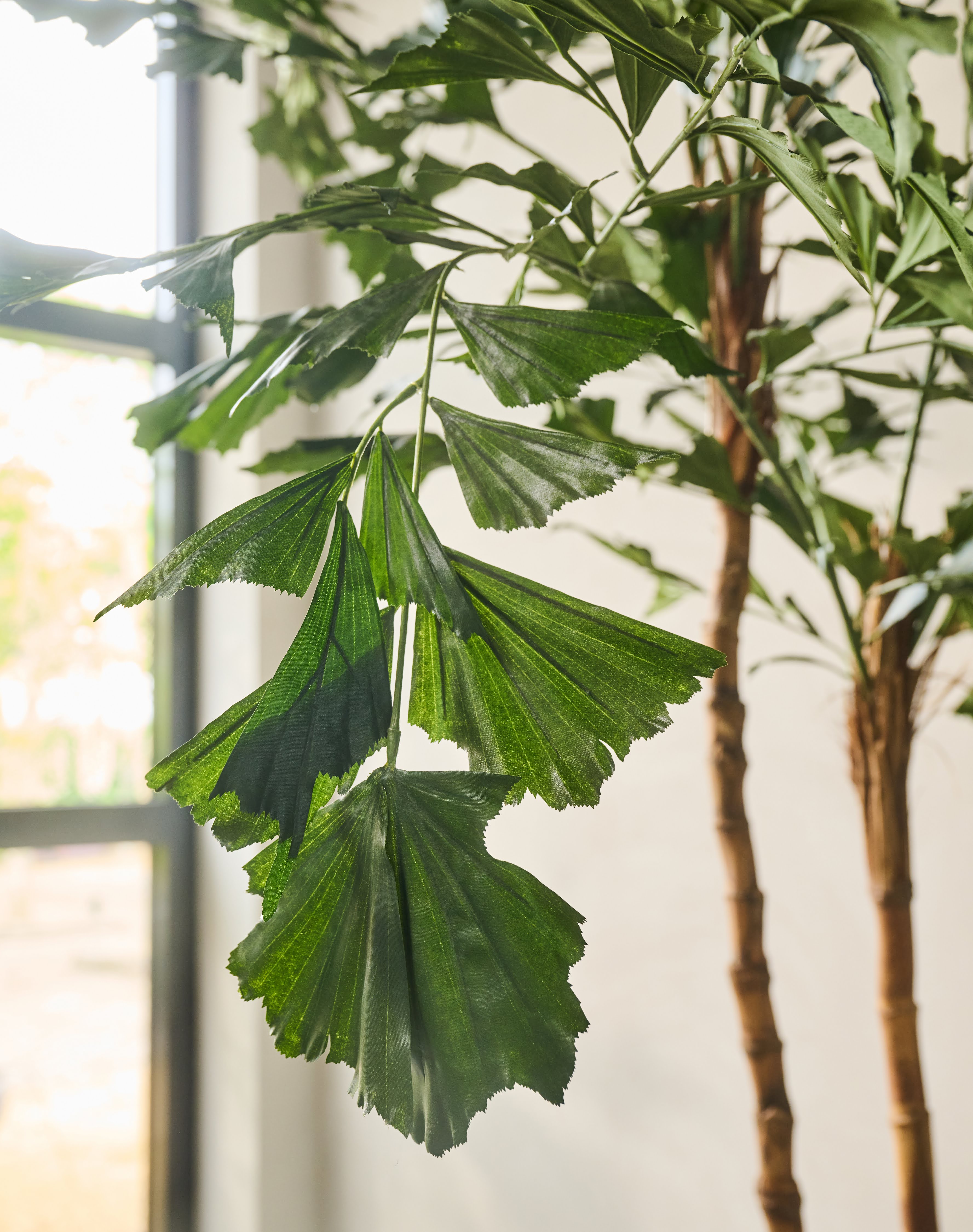 Plant Palm Groen | 240 cm