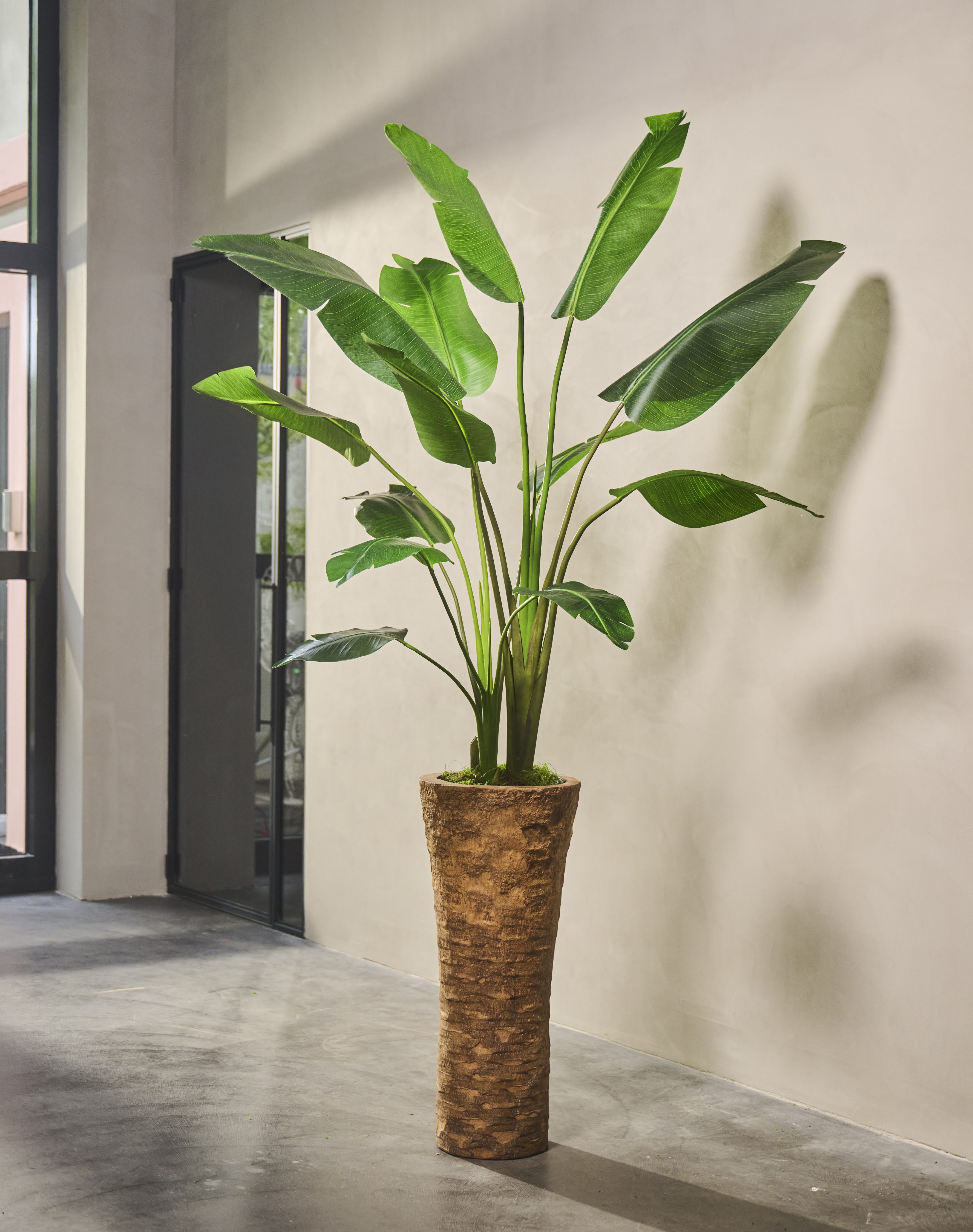 Plant Strelitzia Groen | 182 cm