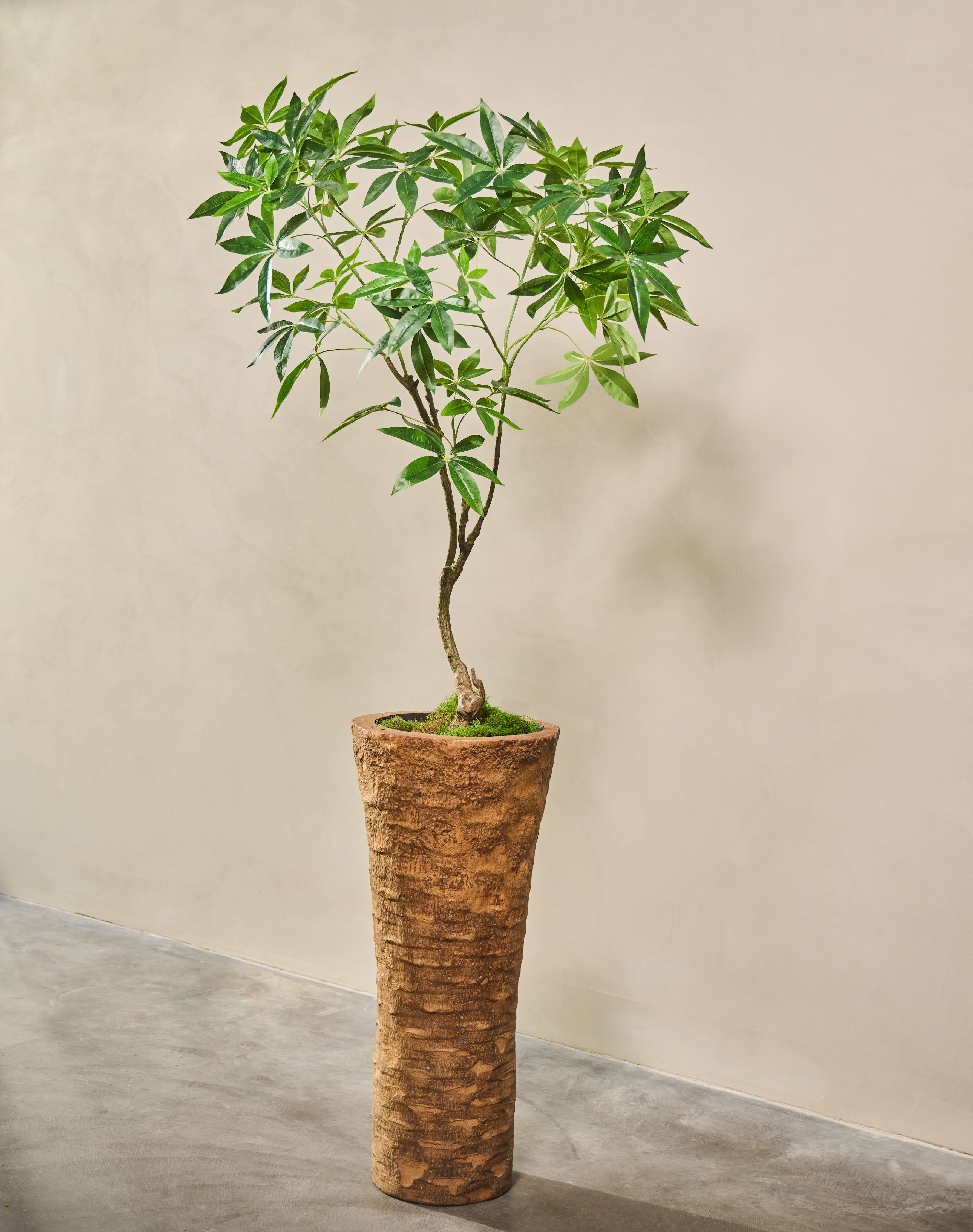 Plant Groen | 150 cm