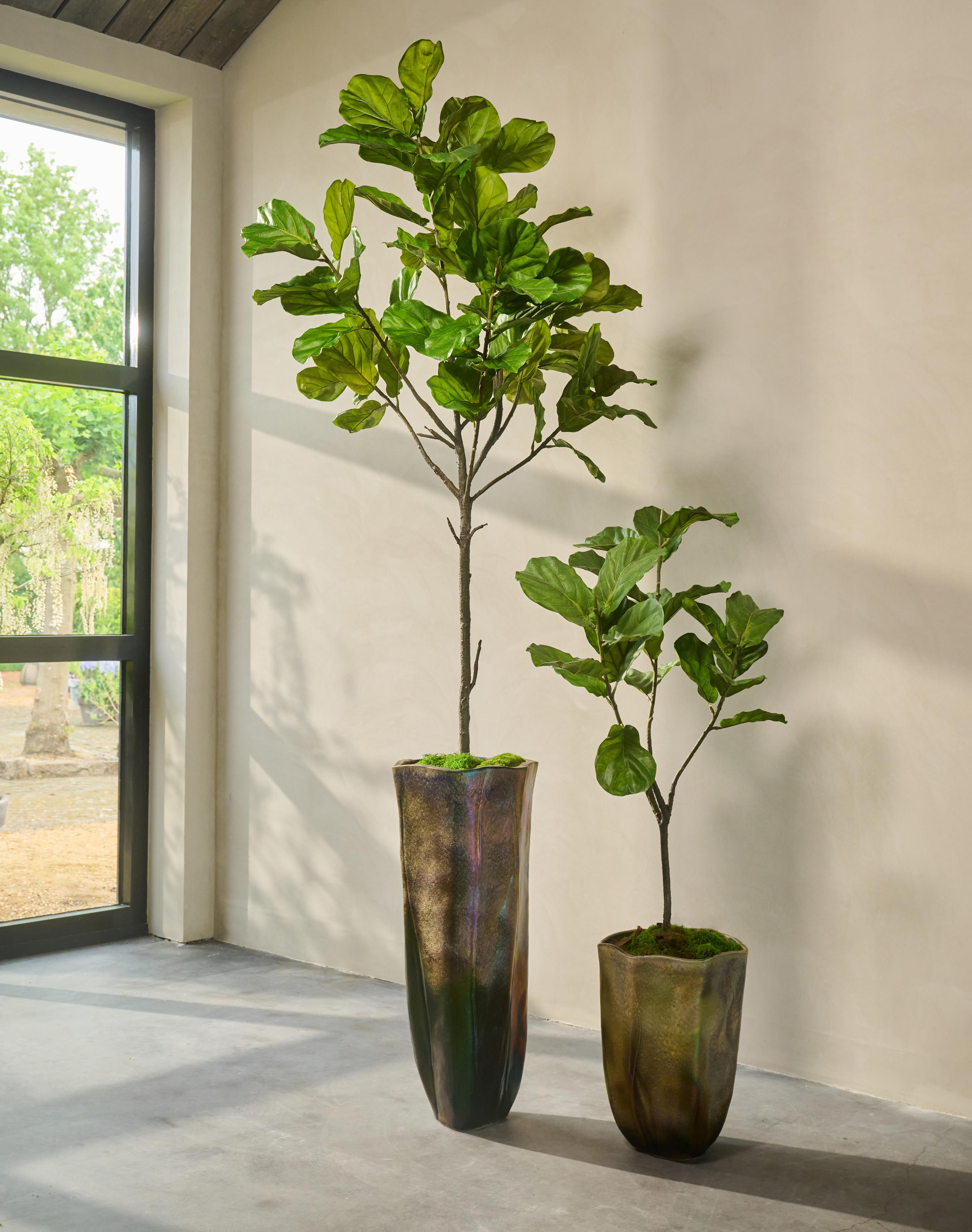 Plant Groen | 254 cm