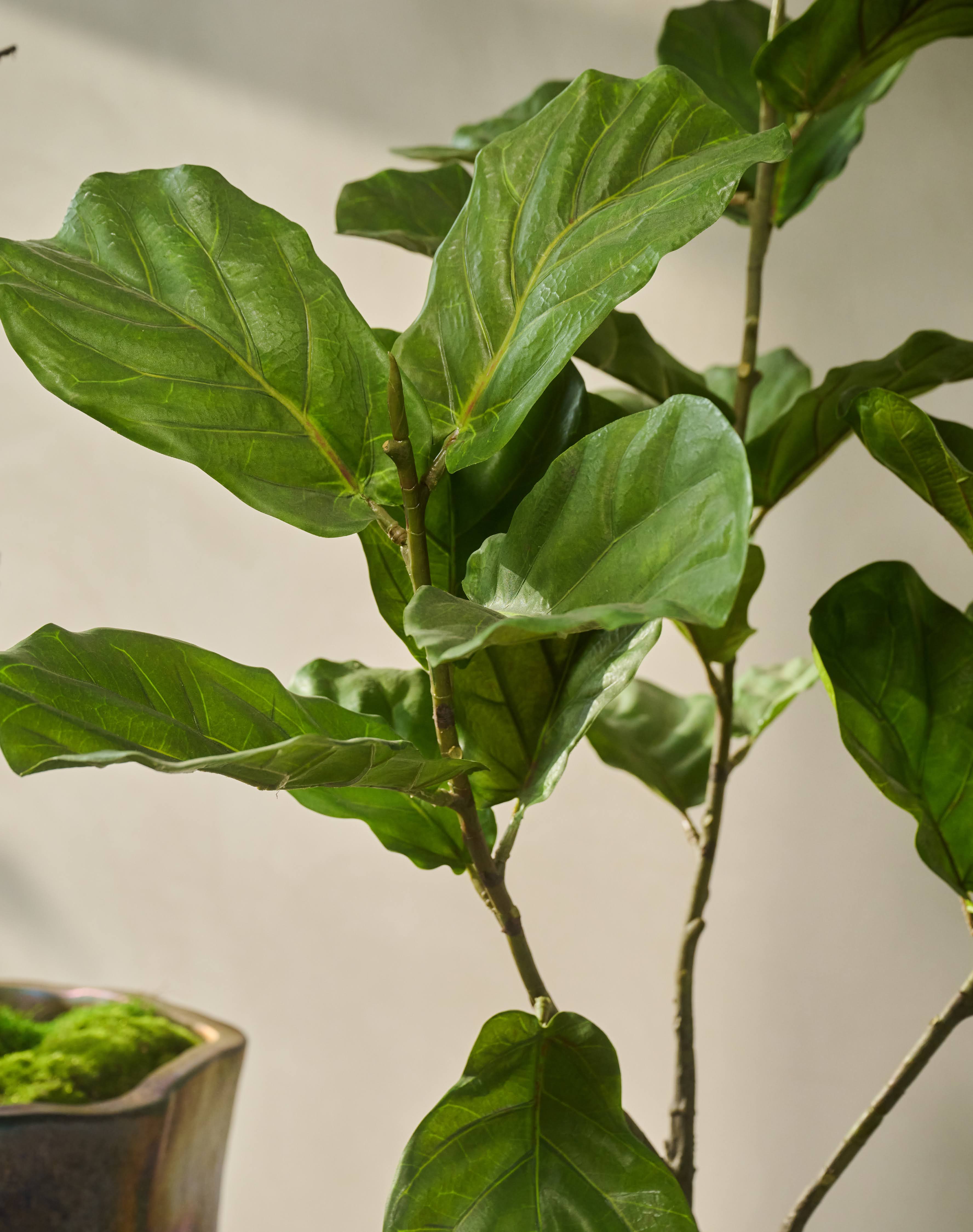 Plant Groen | 254 cm