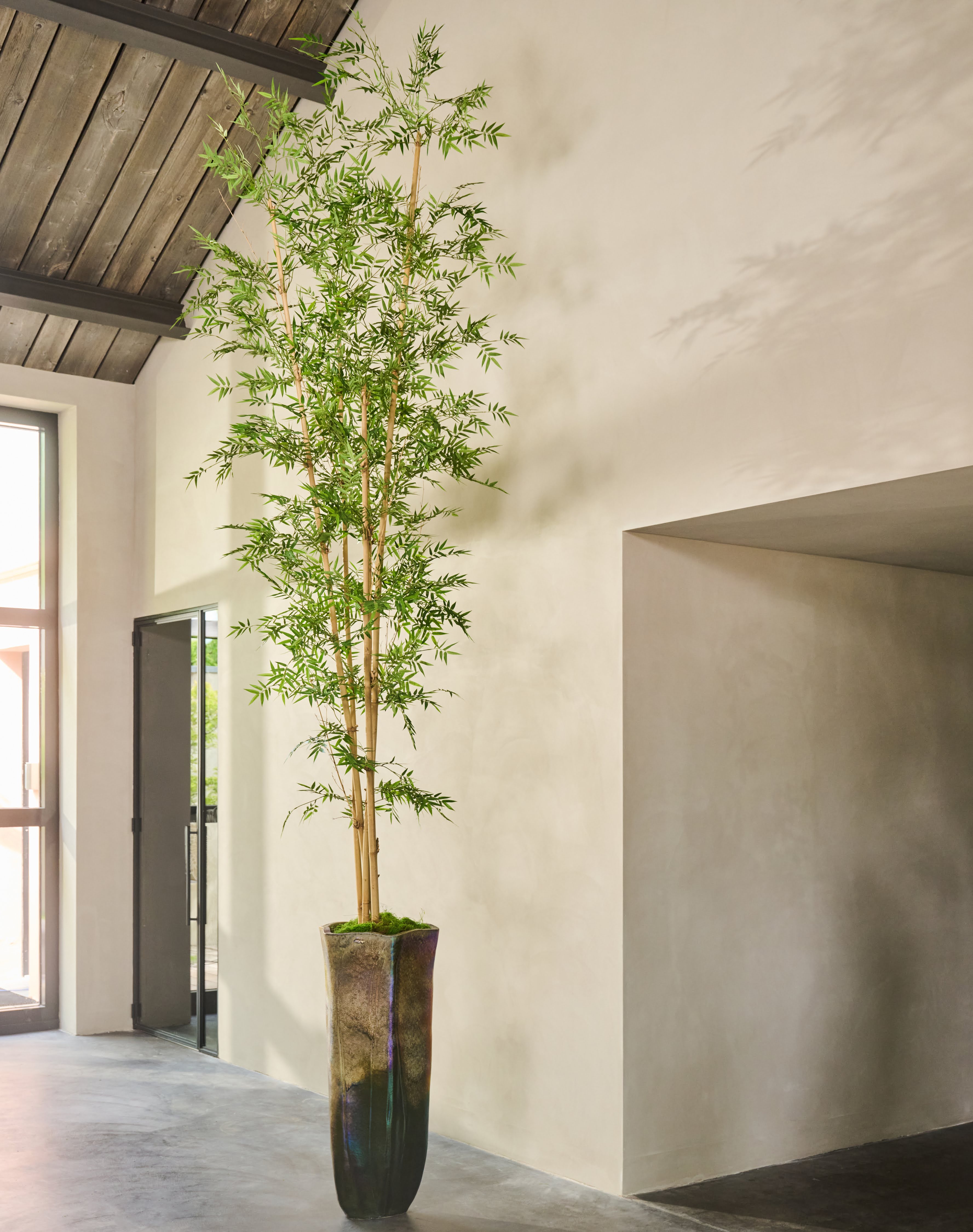 Bamboe Groen | 335 cm