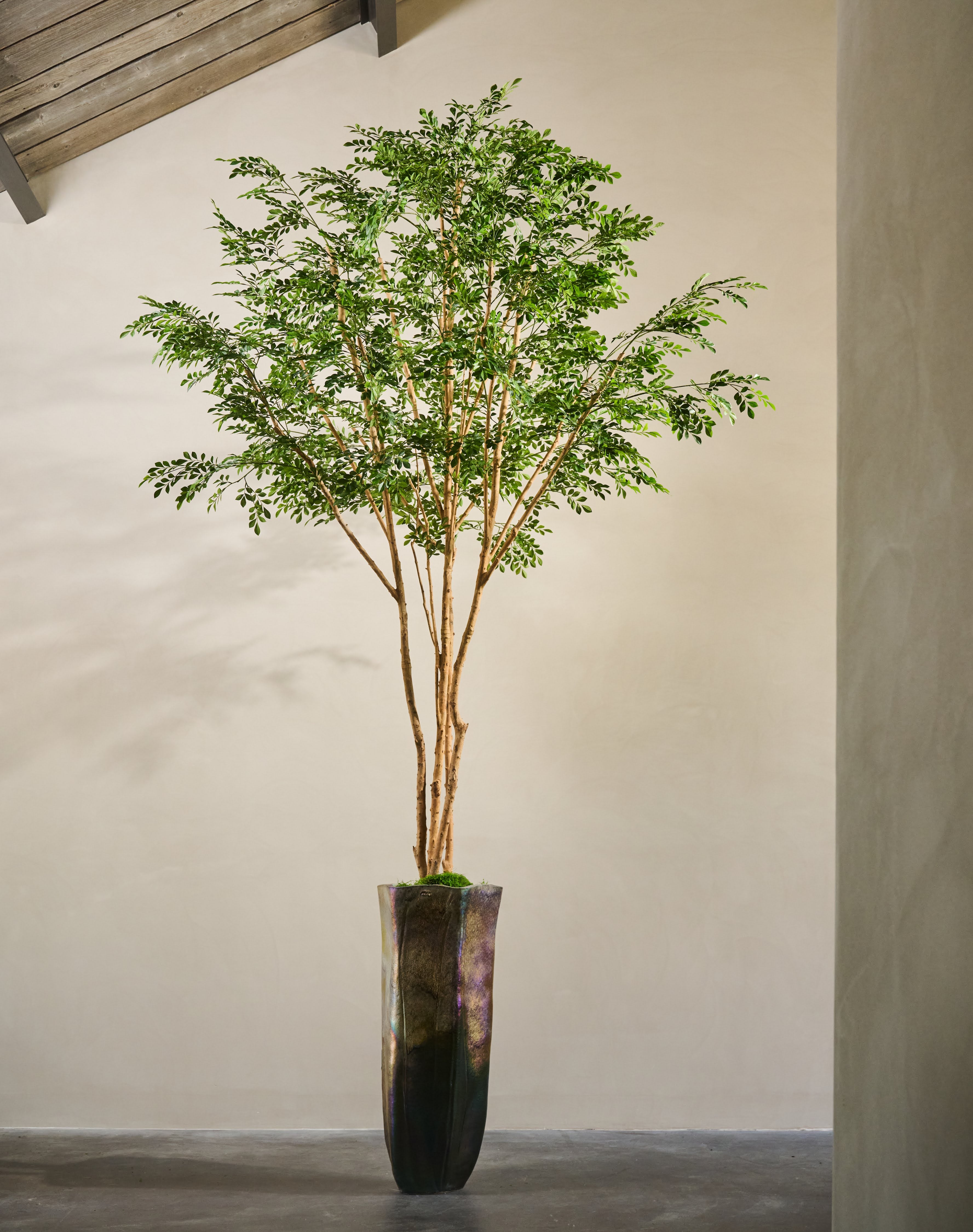 Boom Groen | 330 cm