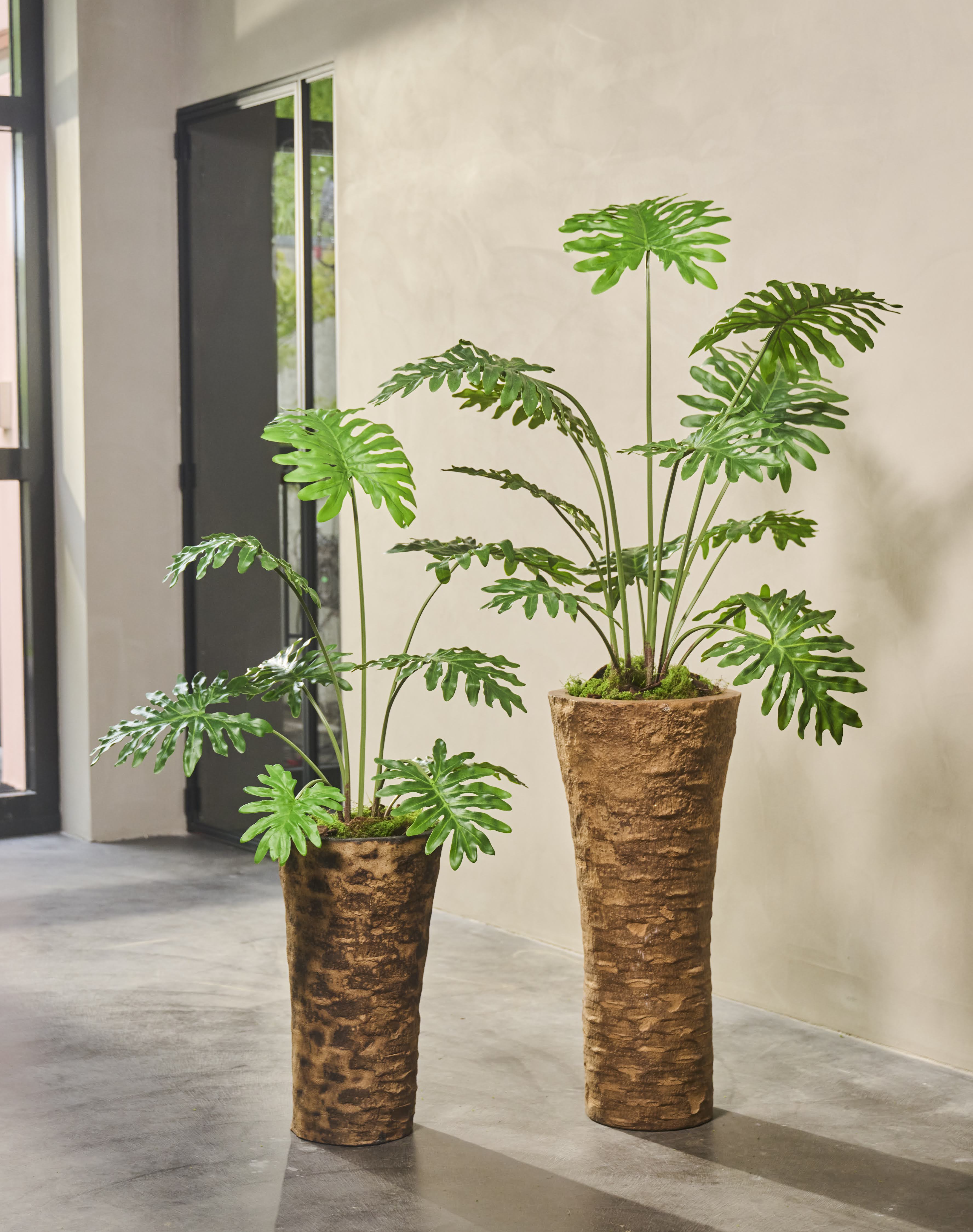 Plant Philodendron Groen | 115 cm