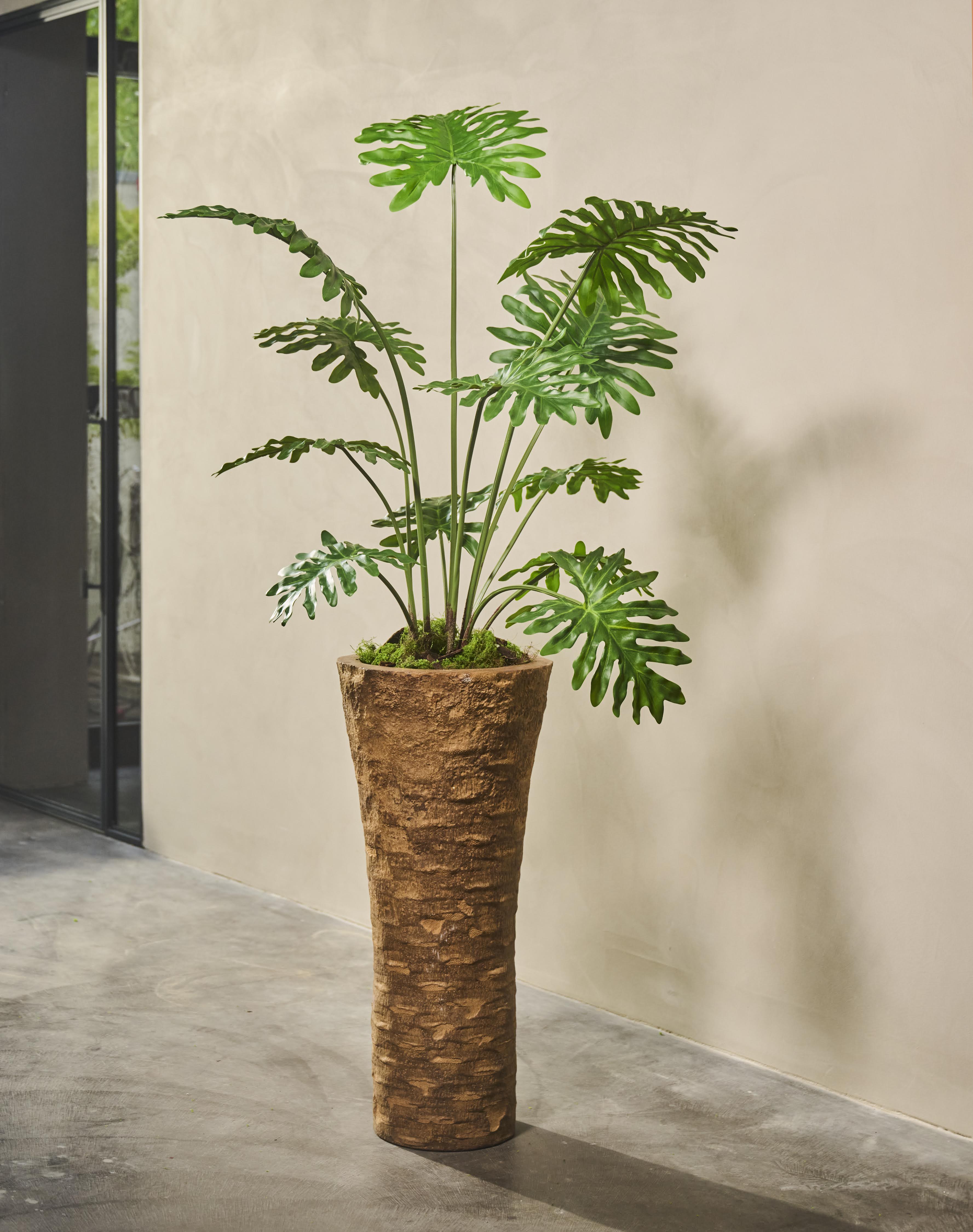 Plant Philodendron Groen | 130 cm