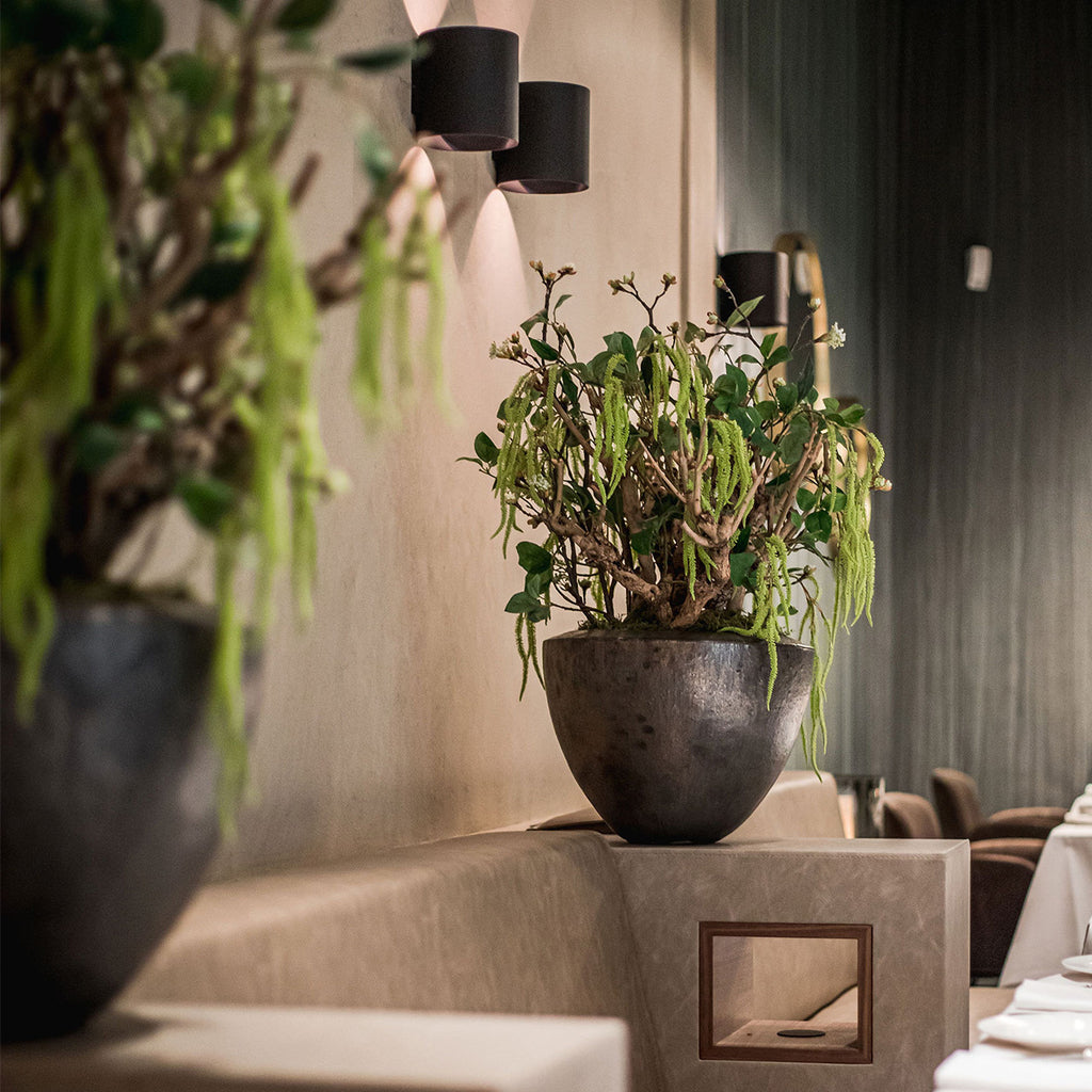 Plantenbak Tinus - Koper - D54 H43