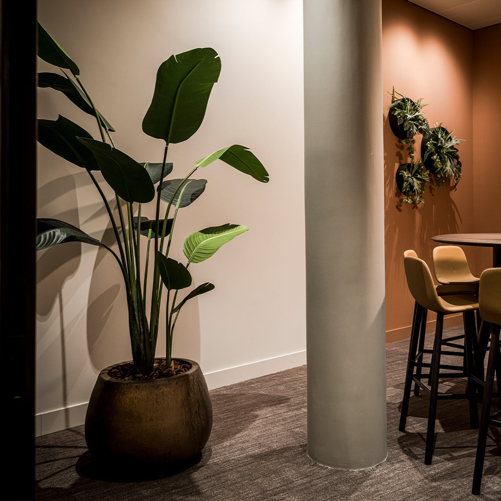 Kunstplant Strelitzia - H230