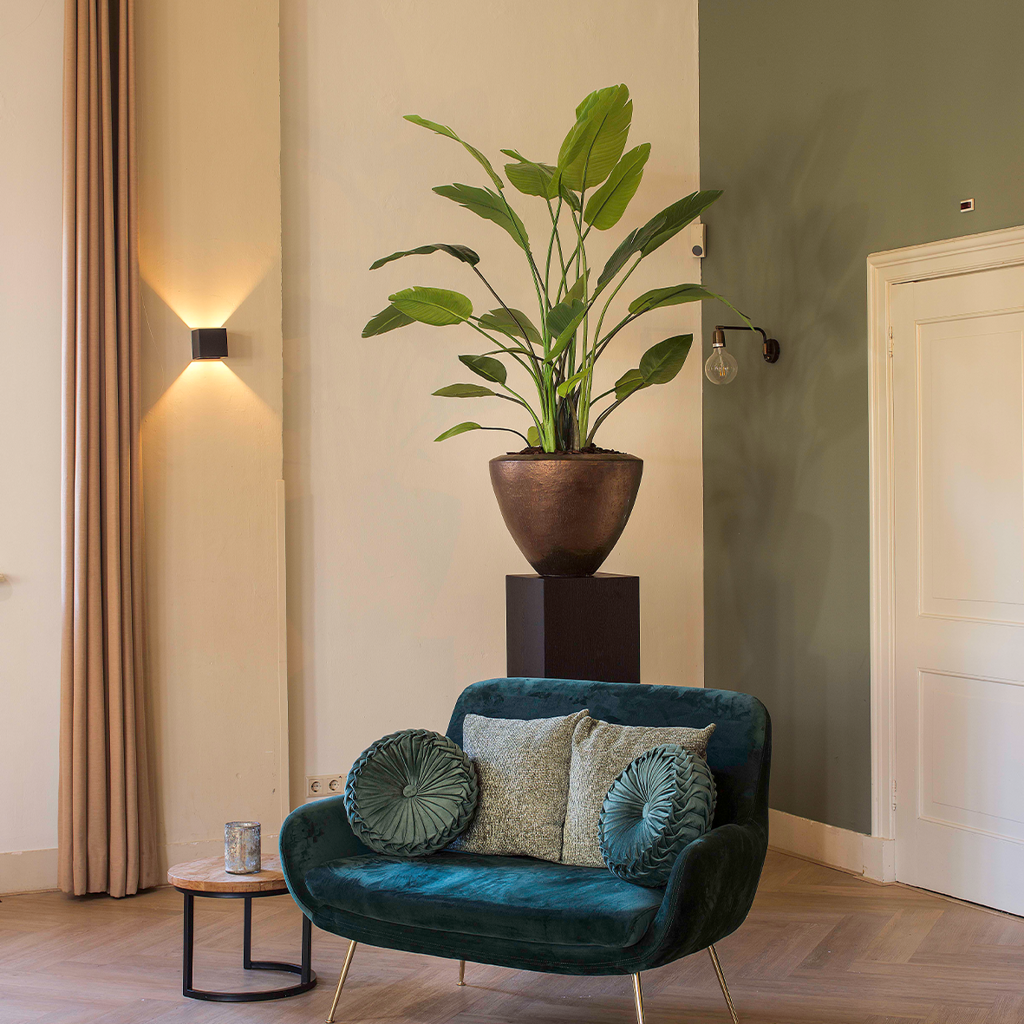 Plantenbak Tinus - Koper - D54 H43