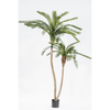 Plant Palm Groen | 180 cm