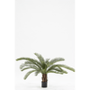 Plant Palm Groen | 50 cm