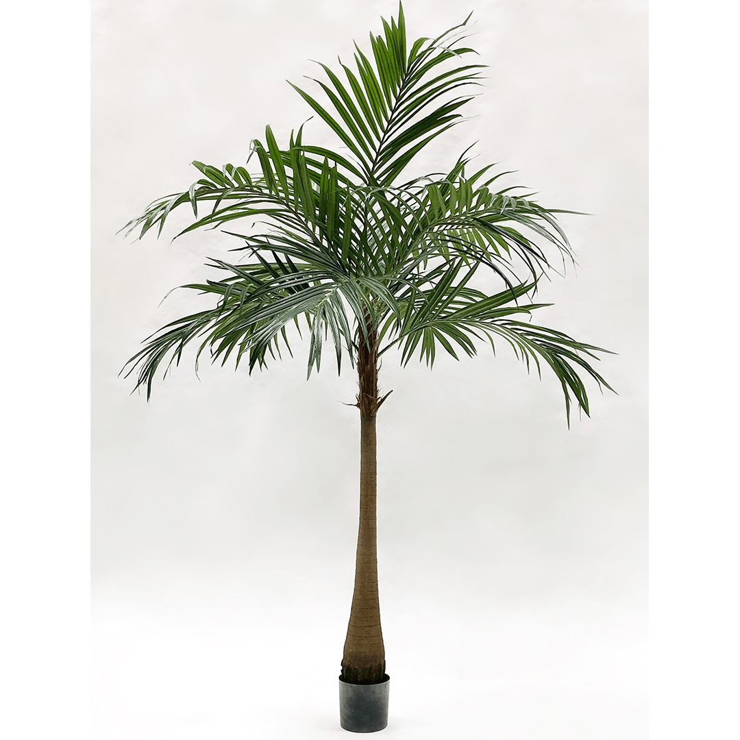 Boom Palm Groen | 190 cm