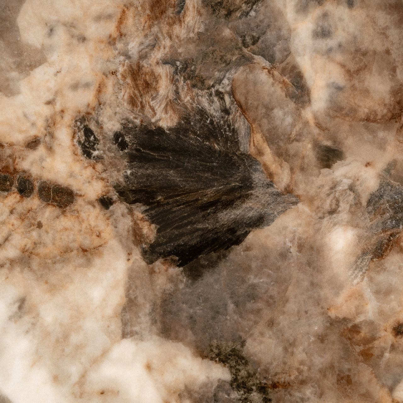 Salontafel Langford - Bruin