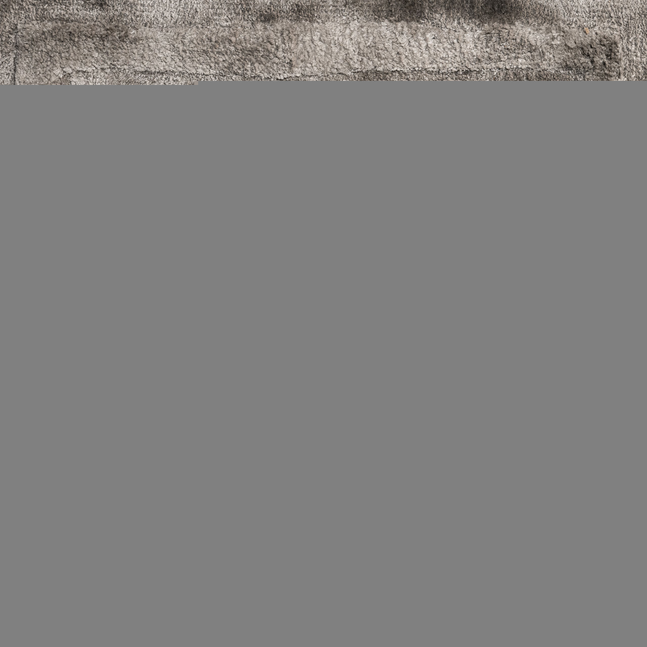 Vloerkleed Iggy - Antraciet - 300x400