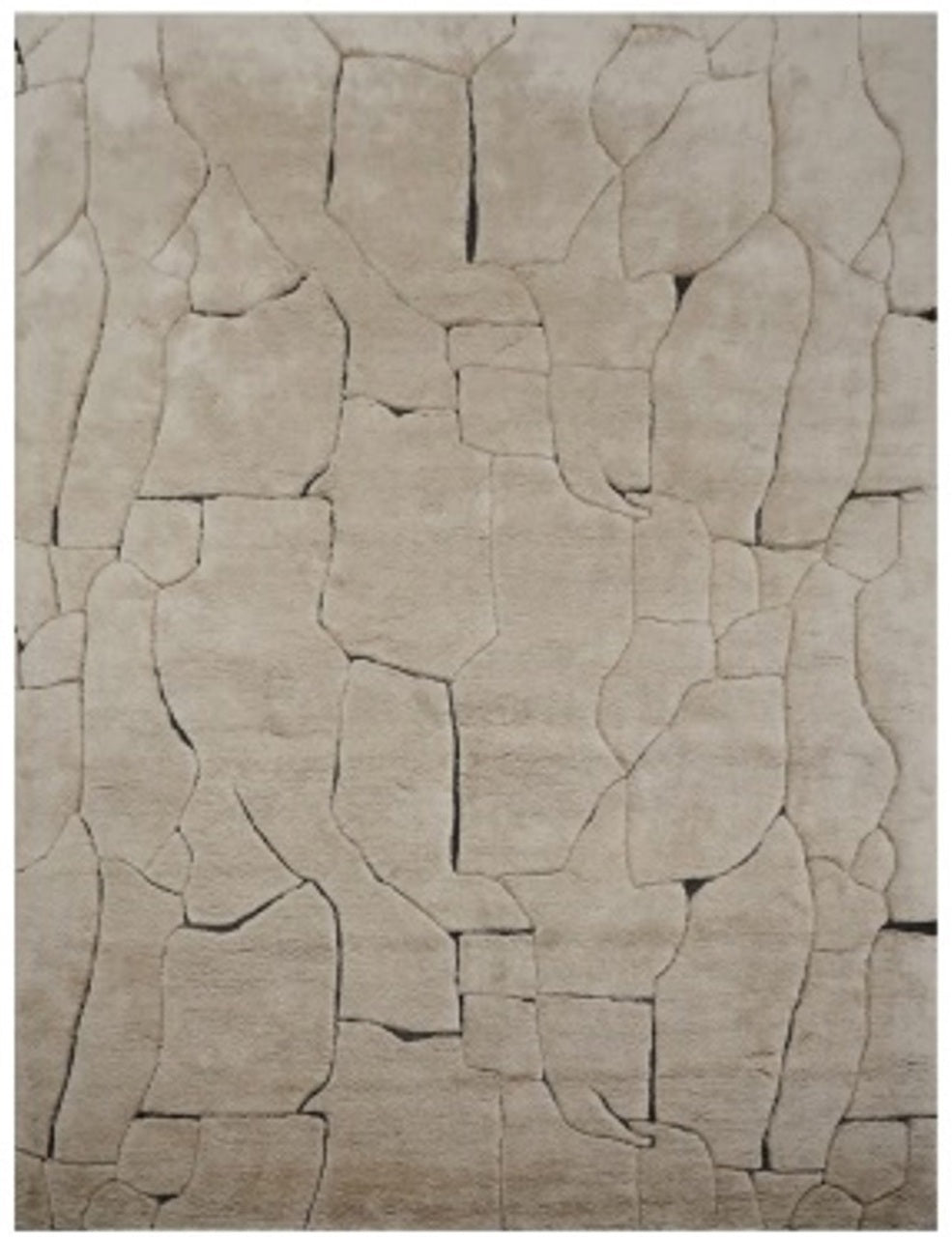 Vloerkleed Bhawan - Bruin - 300 x 400 cm