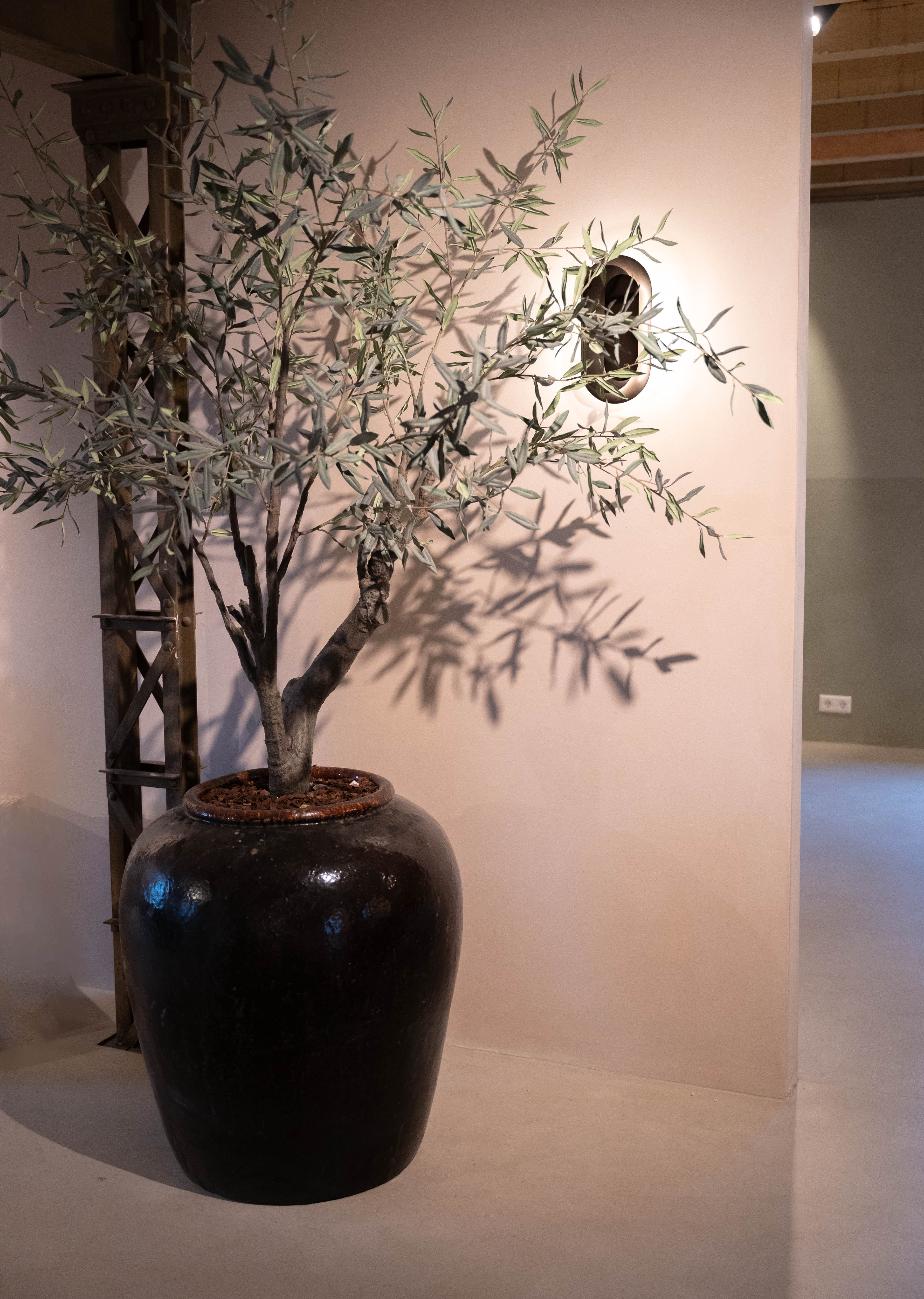 Olijfboom Silk-ka in Vaas Zwart XL