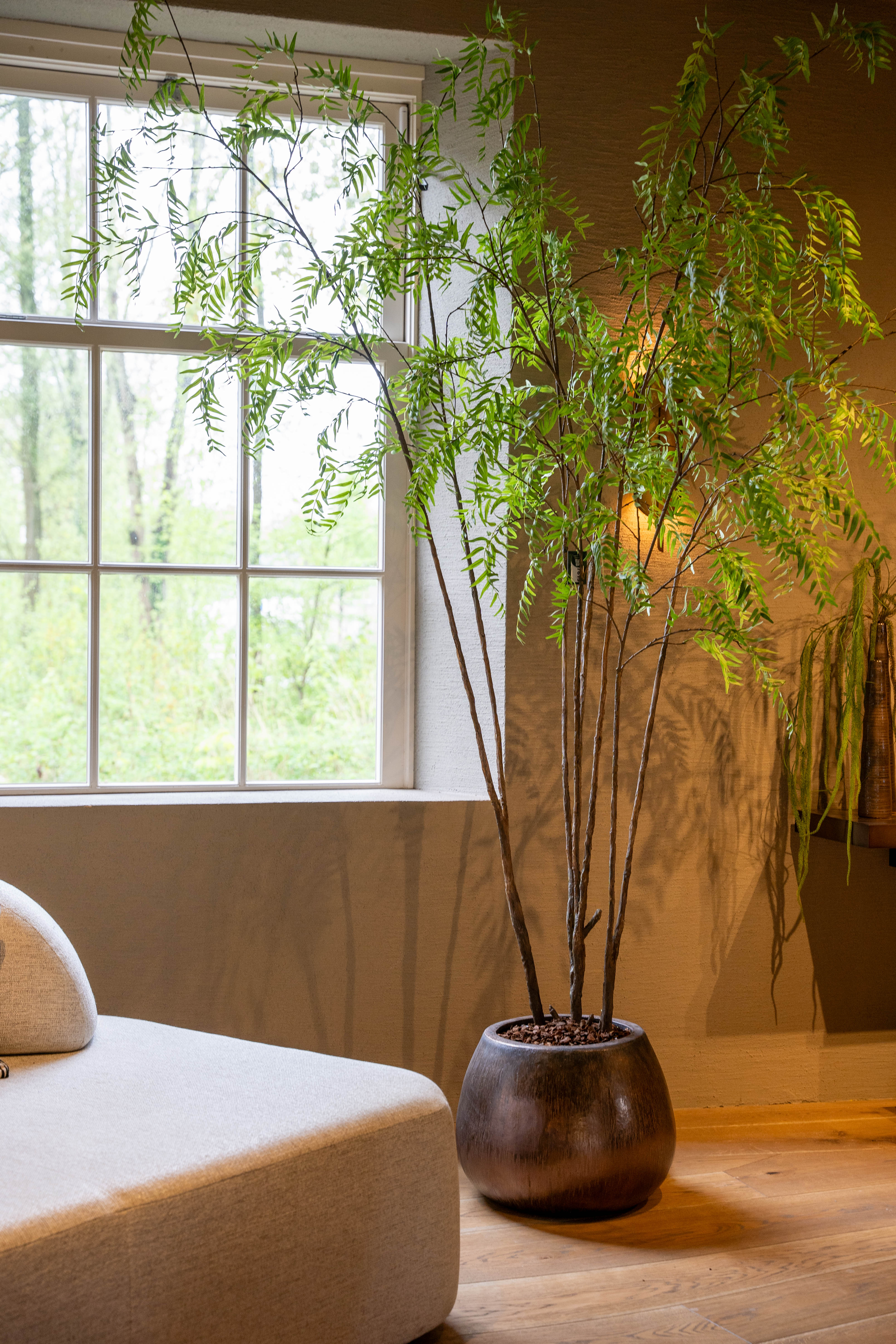 Kunstplant Acacia in pot Koos Koper H40