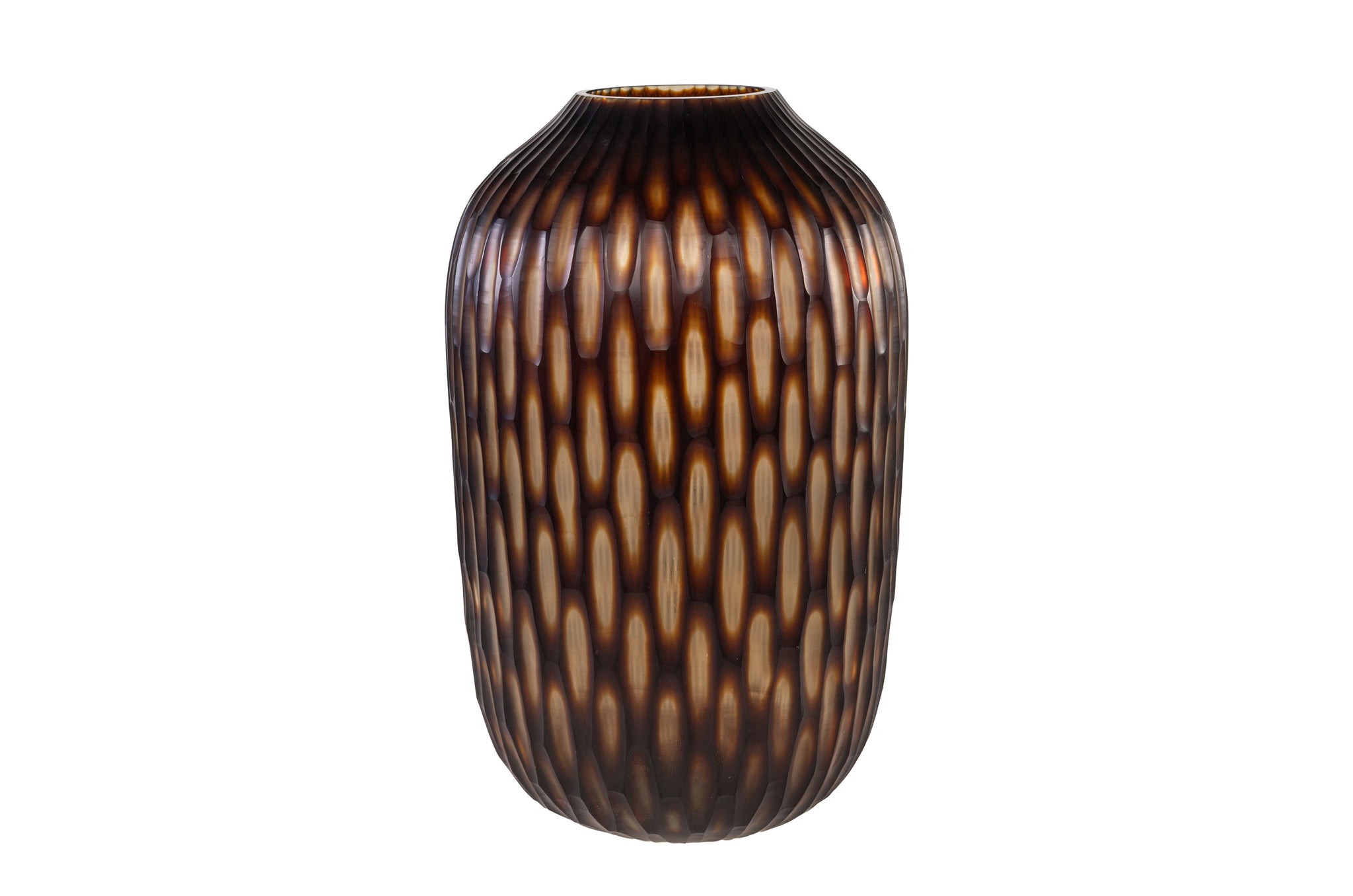 Vaas Hurricane Large - Bruin