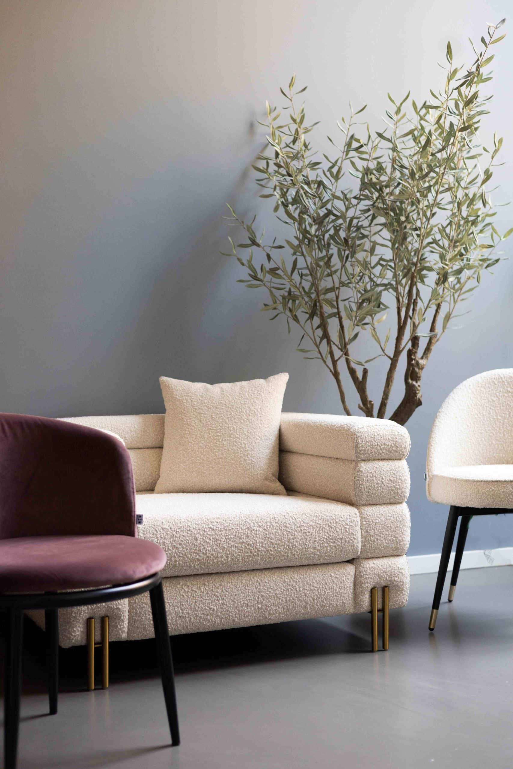 Olijfboom Groen | 198 cm