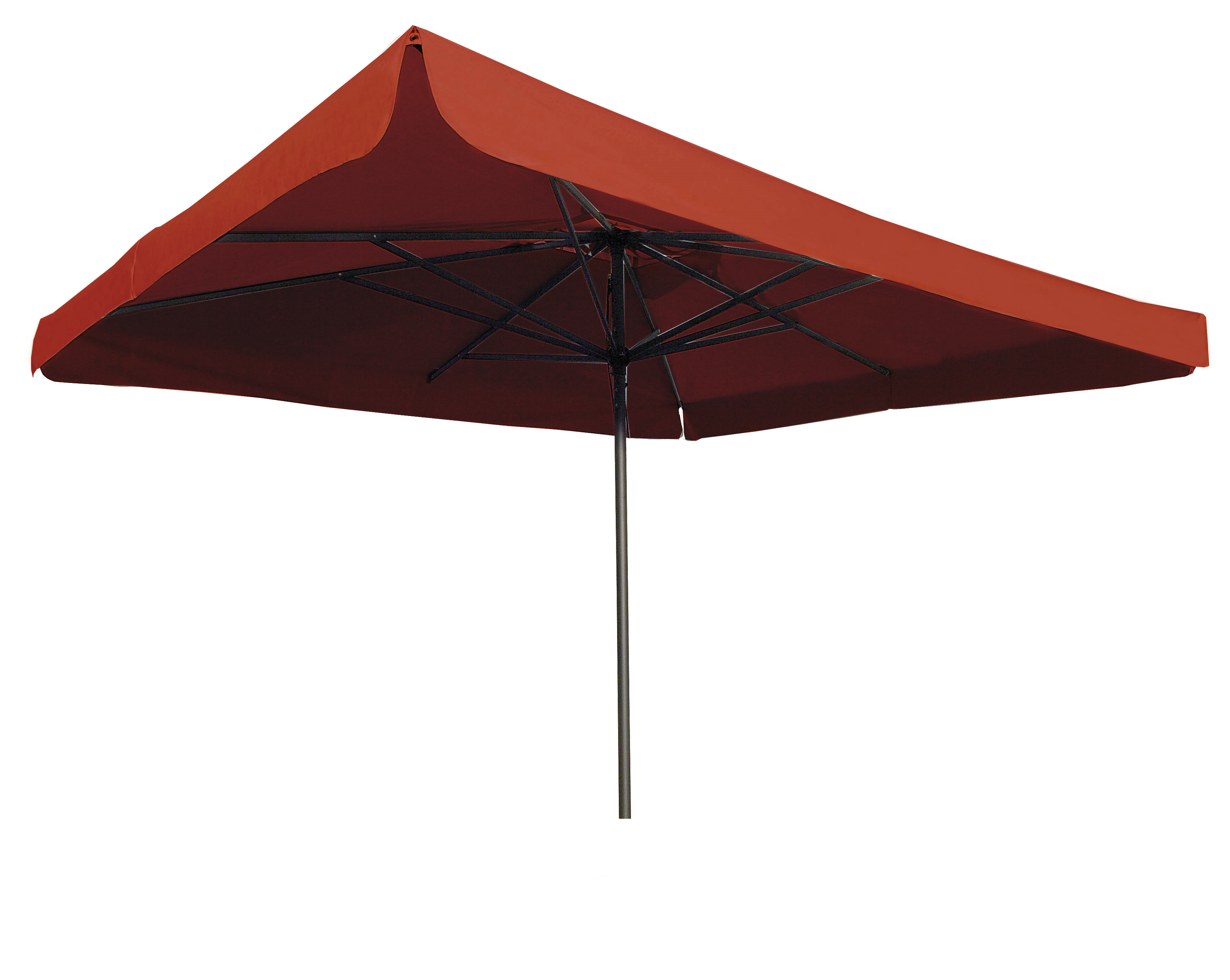 Napoli Standaard 300x300