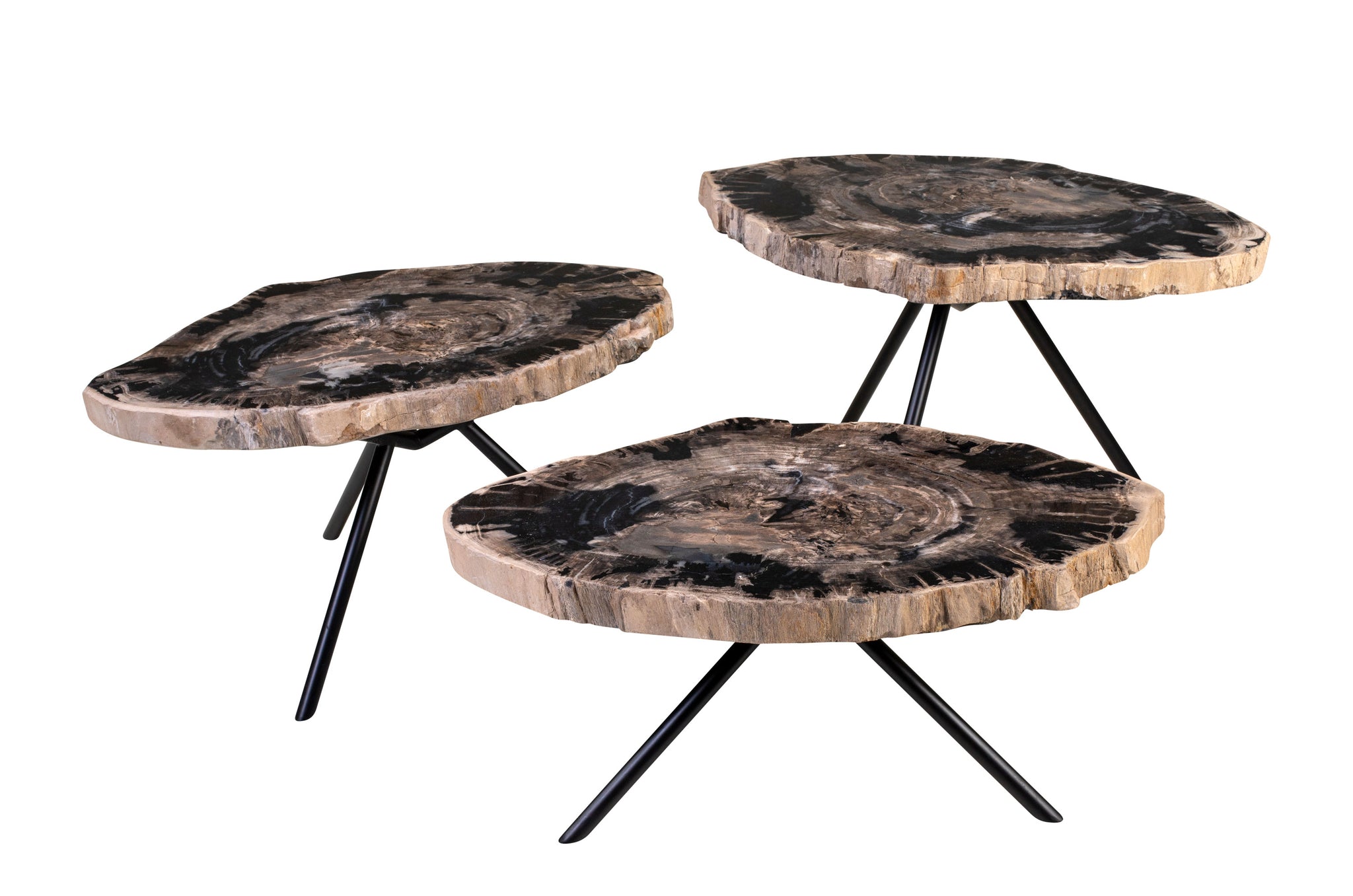 Salontafel Petrified Wood (set van 3)
