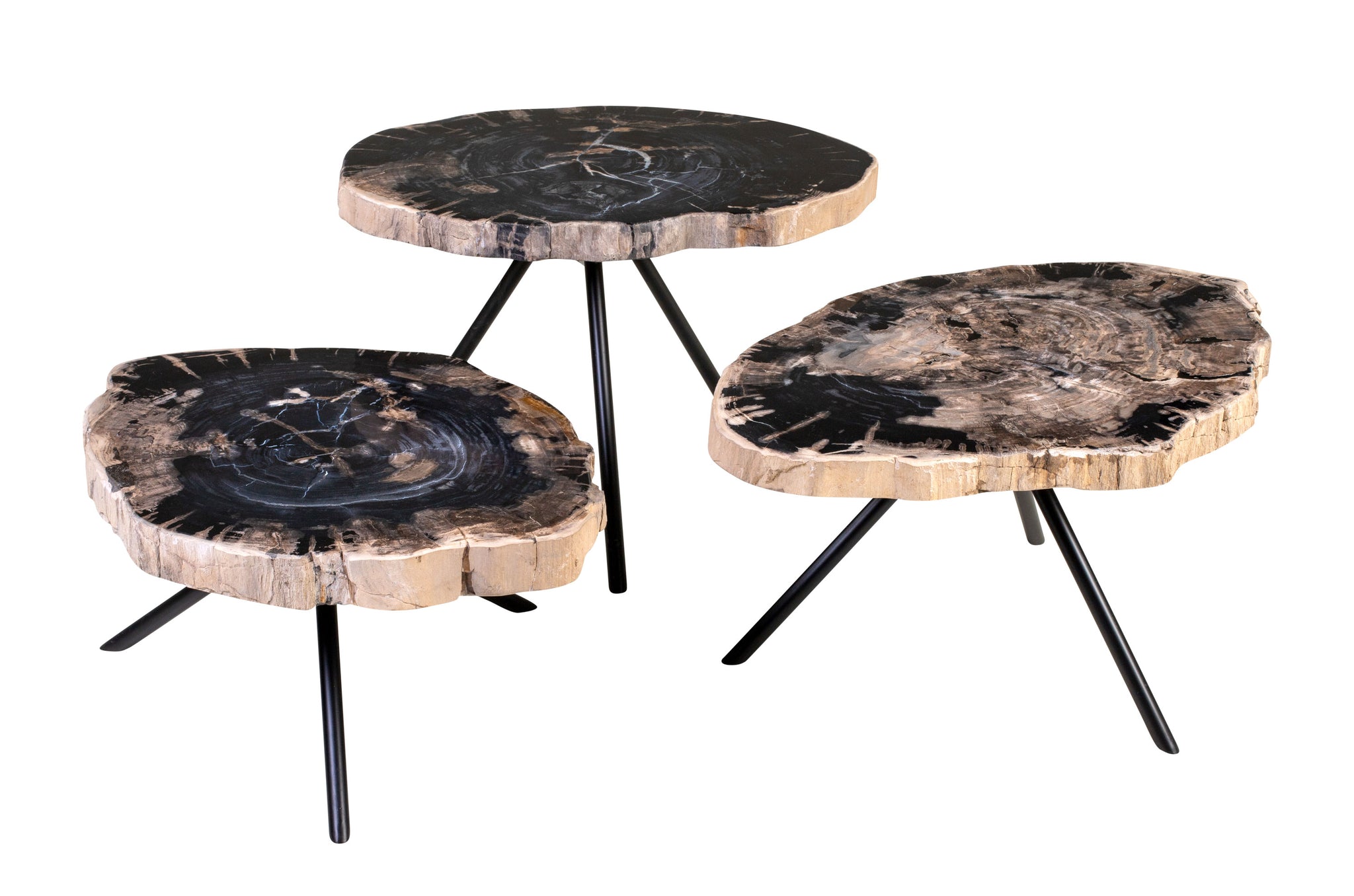 Salontafel Petrified Wood (set van 3)