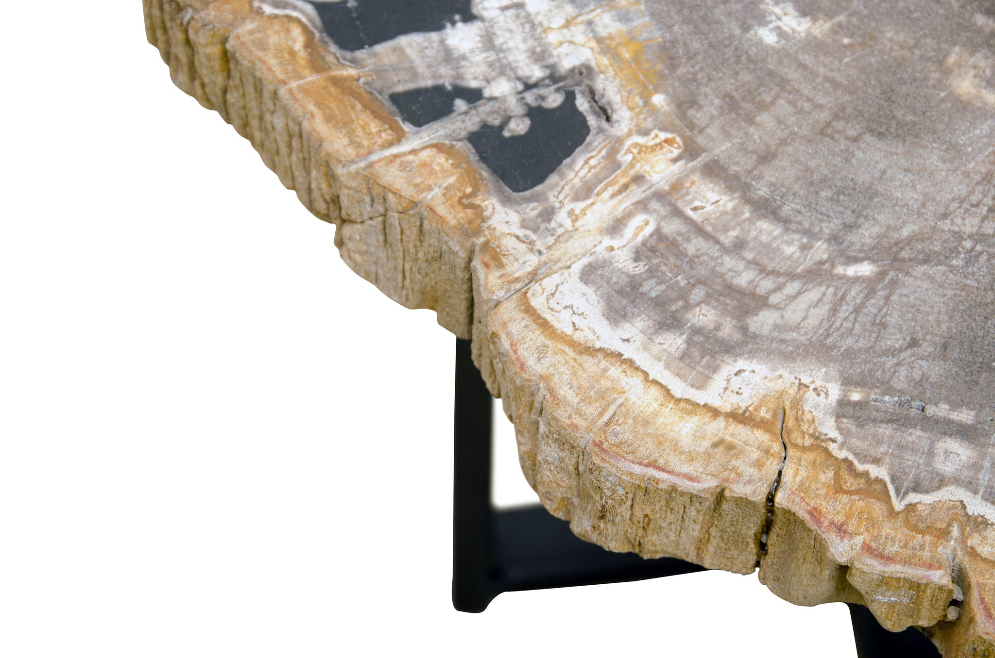 Bijzettafel Petrified Wood - 47