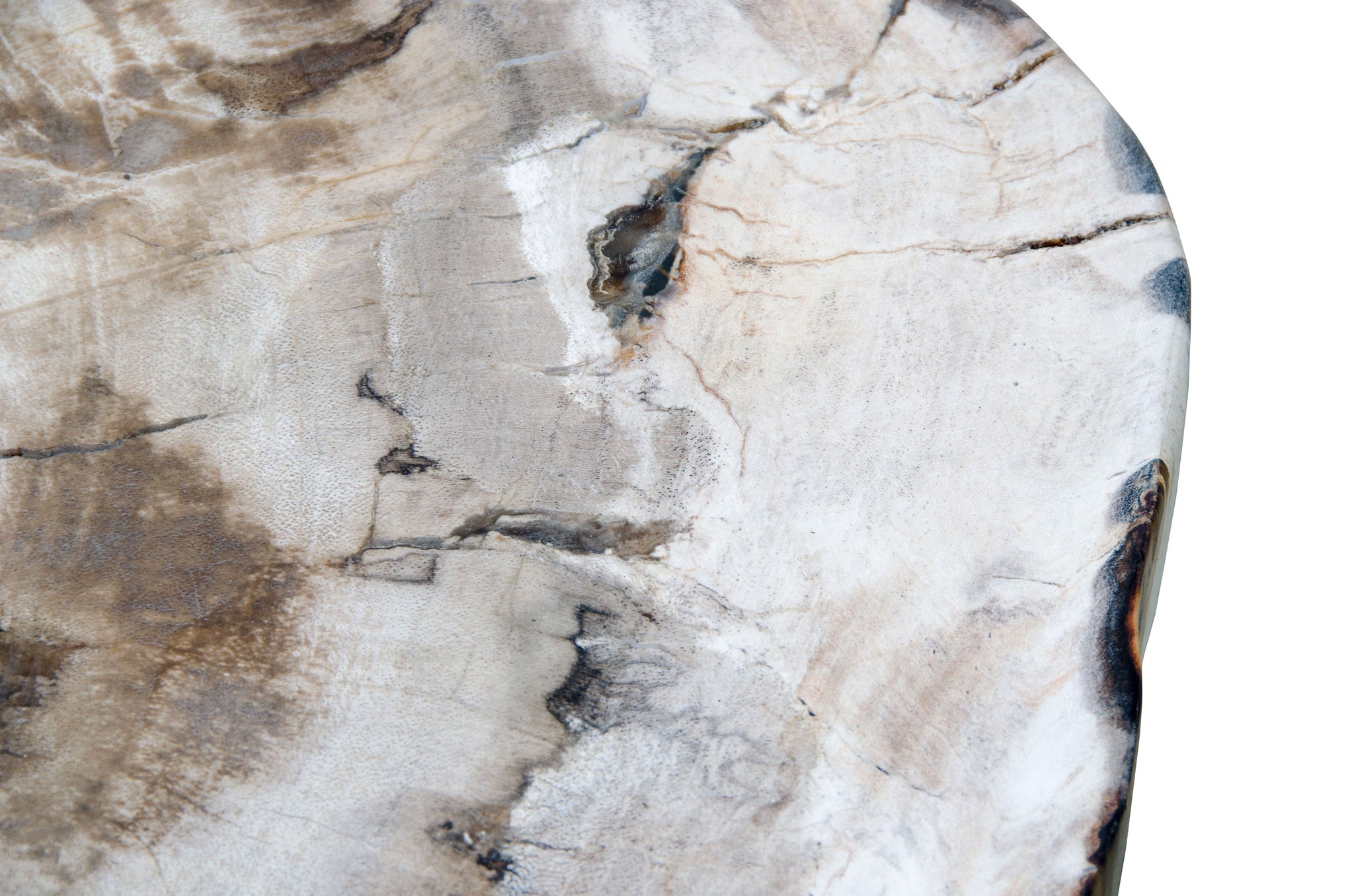 Bijzettafel Petrified Wood - 45