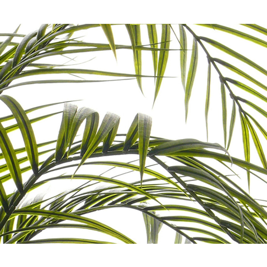 Plant Areca palm UV - Groen - H175
