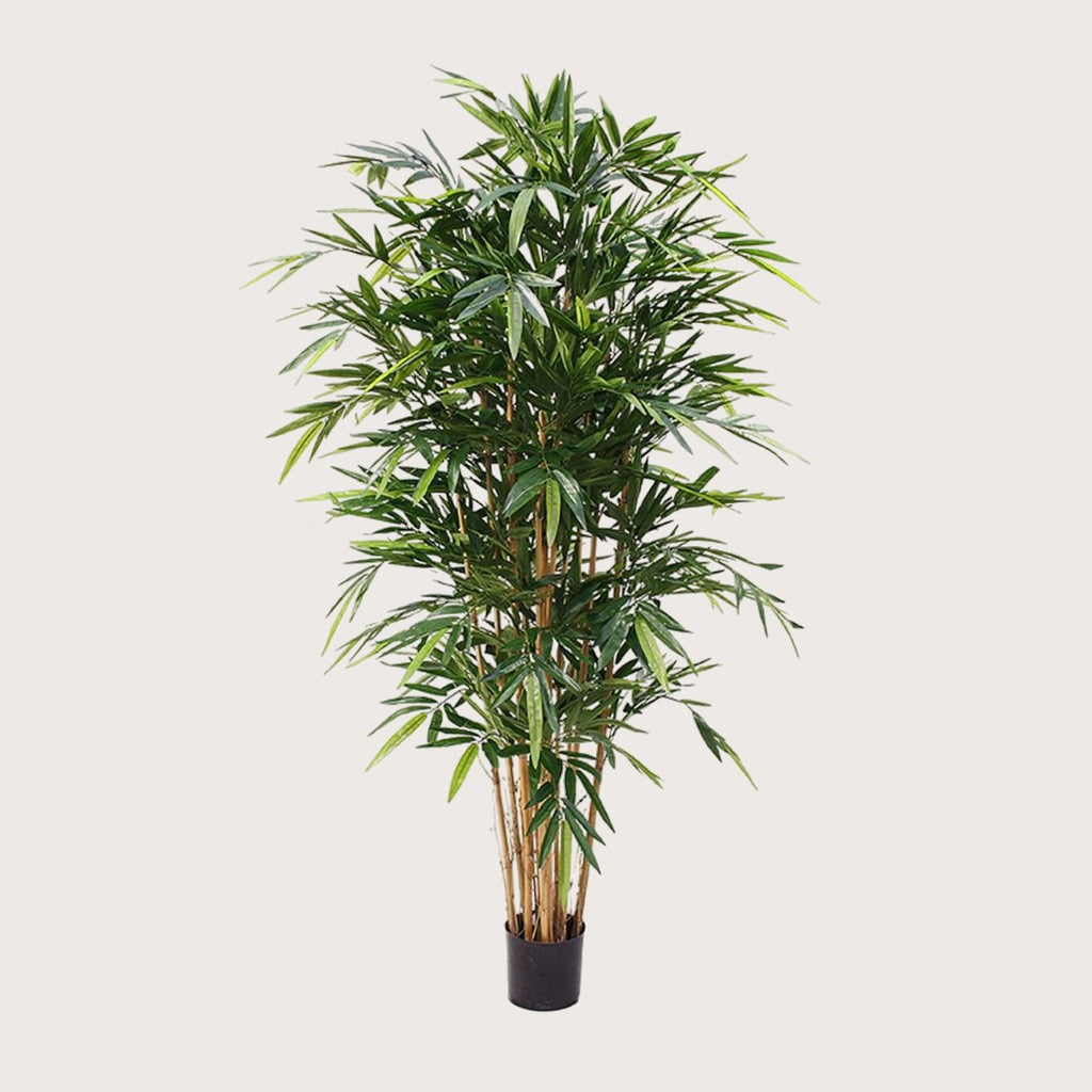 Kunstplant Bamboe Deluxe - H180