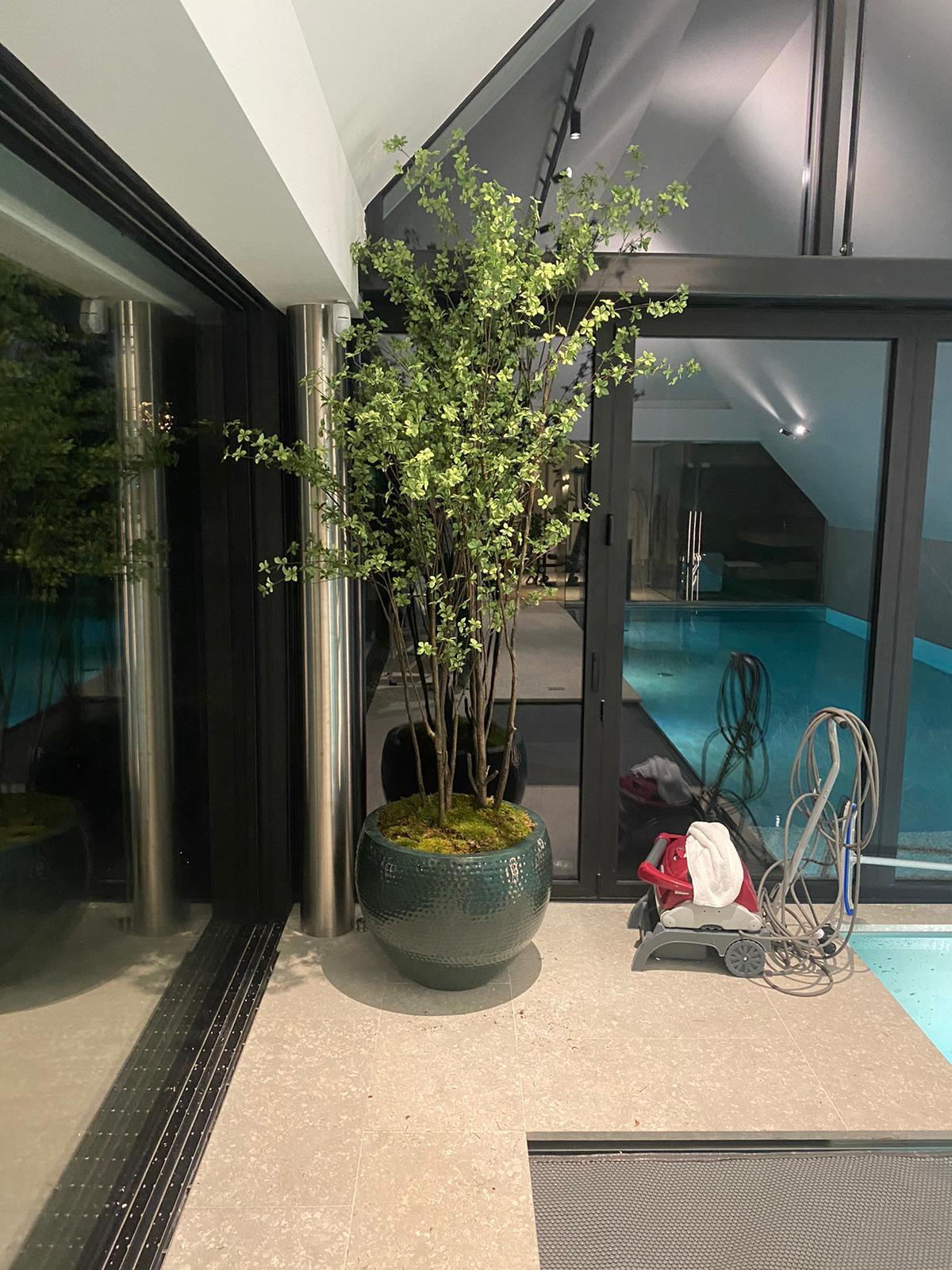 Boom Bucida LT | 218 cm