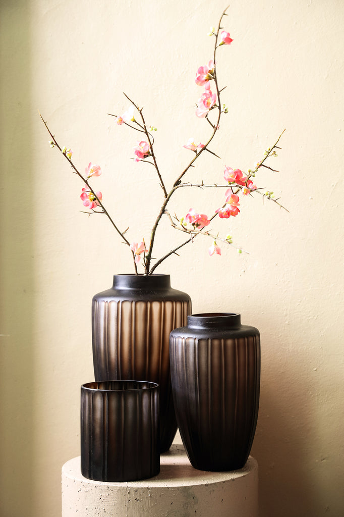 Vaas Linesa - Shaped - S