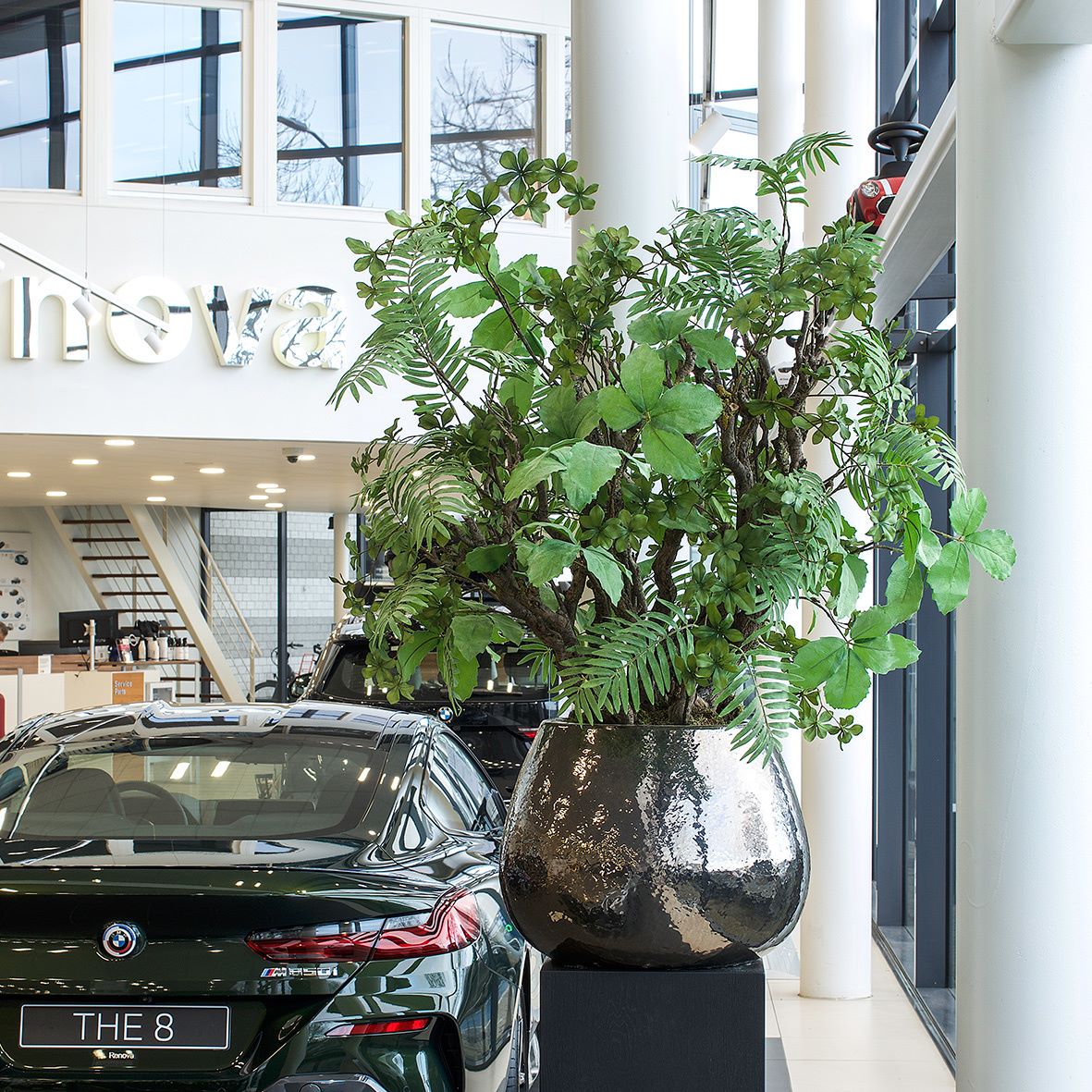 Pot Koos Metaalglans M