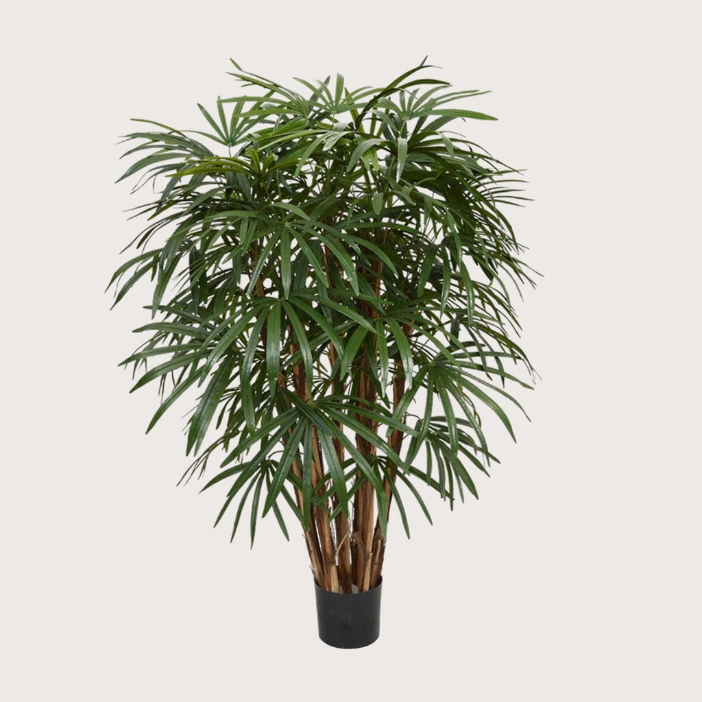 Kunstplant Raphis Deluxe XL - H130