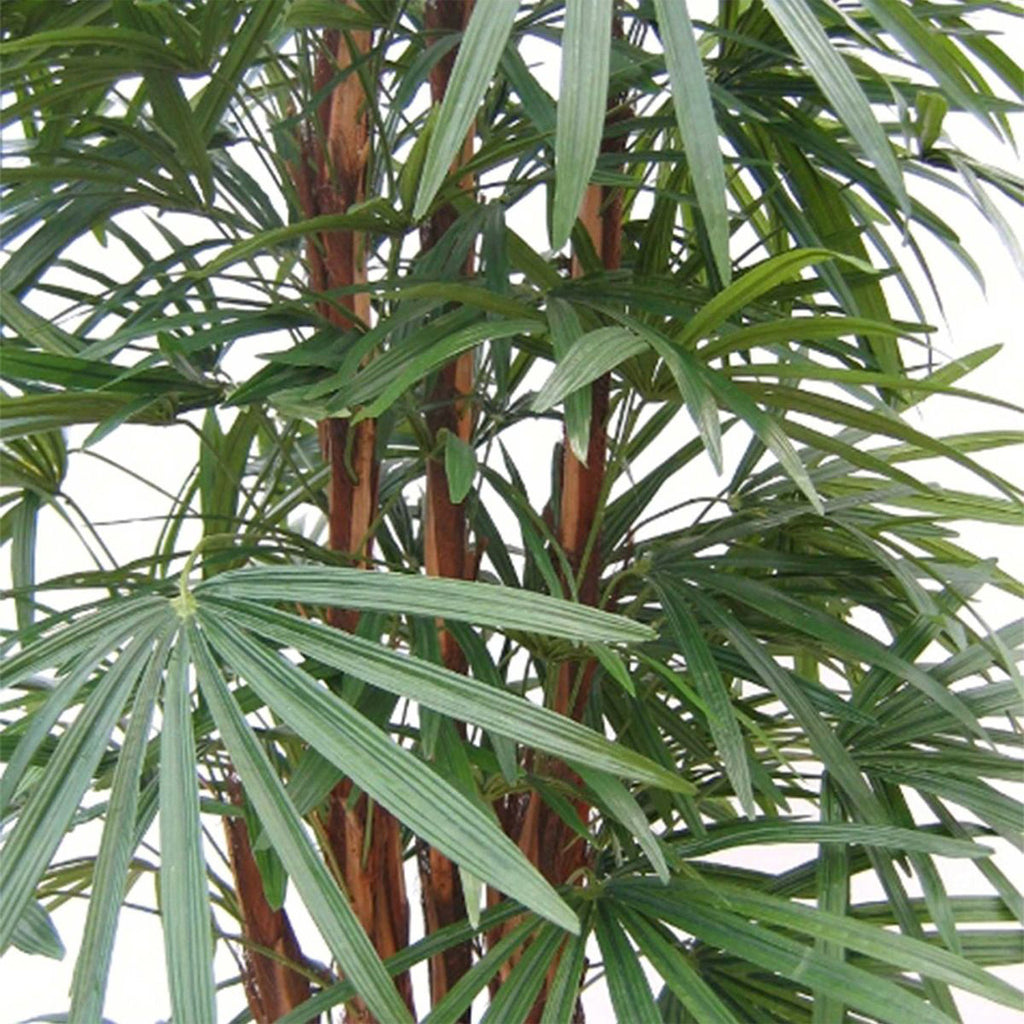 Kunstplant Raphis Deluxe XL - H130