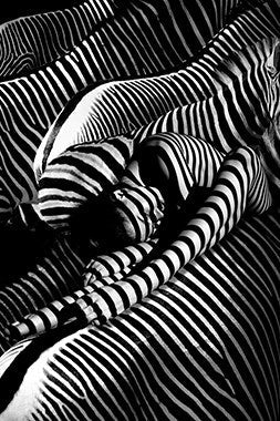 Foto Art - 'Riding a Zebra'