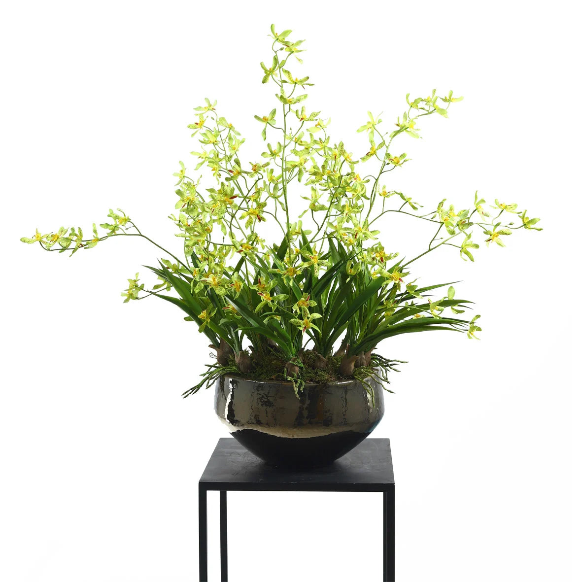 Schaal Sjaan Metaalglans S