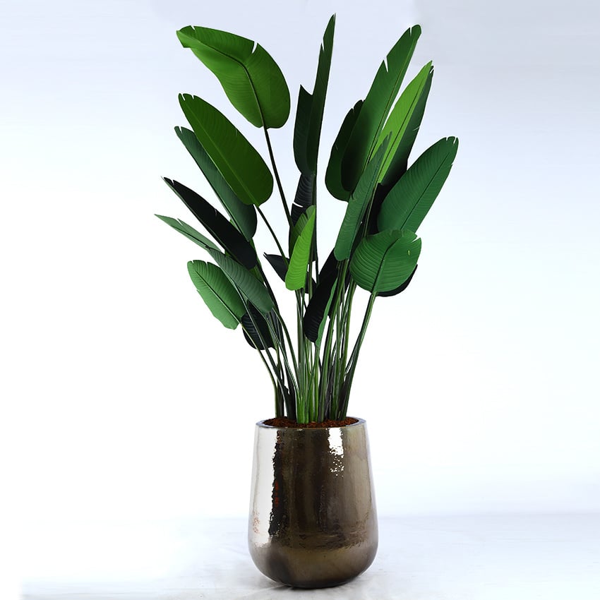 Kunstplant Strelitzia - H230