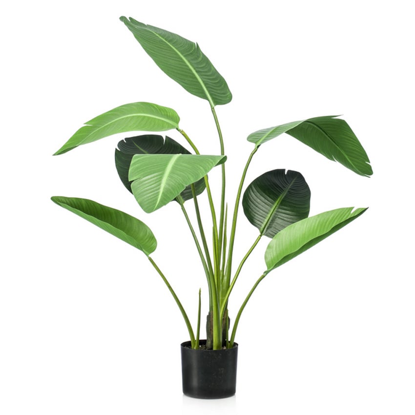 Kunstplant Strelitzia - H120